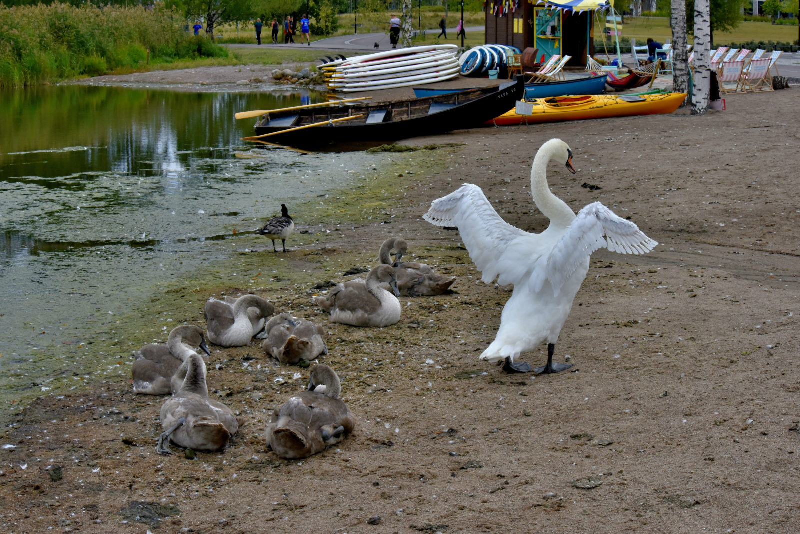 Valokuvaaja: Reijo Juurinen