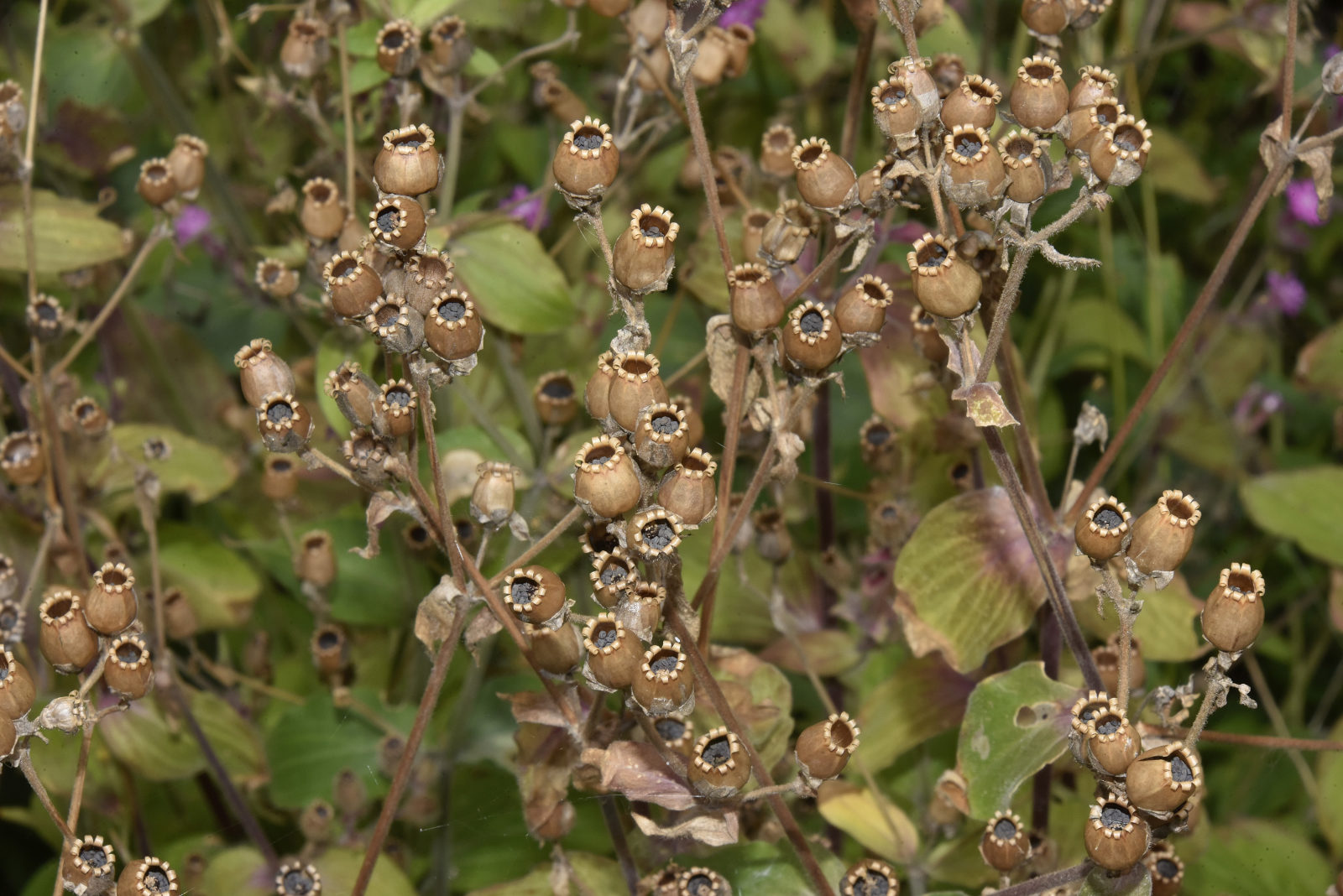 Valokuvaaja: Reijo Juurinen