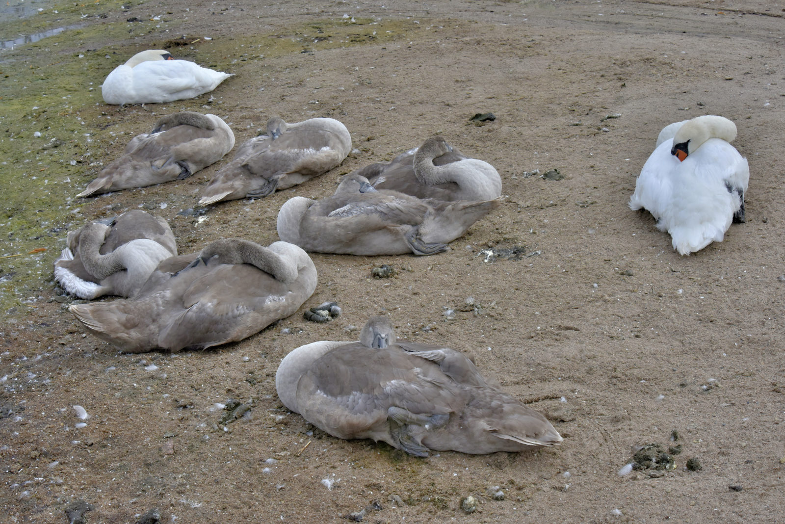 Valokuvaaja: Reijo Juurinen