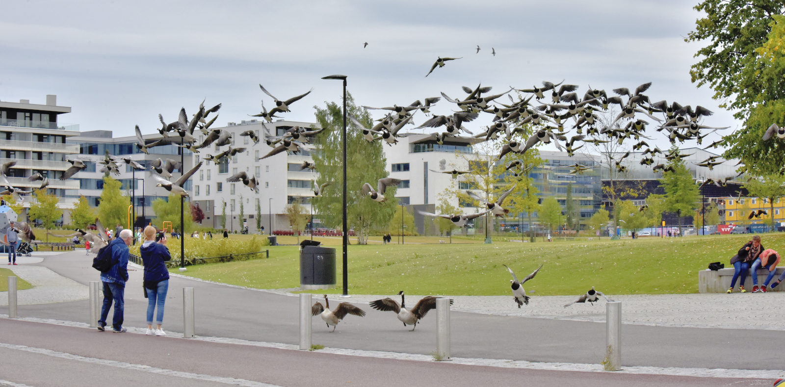 Valokuvaaja: Reijo Juurinen Valokuvaaja: Reijo Juurinen