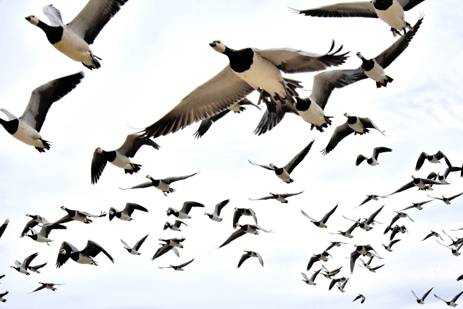 Valokuvaaja: Reijo Juurinen