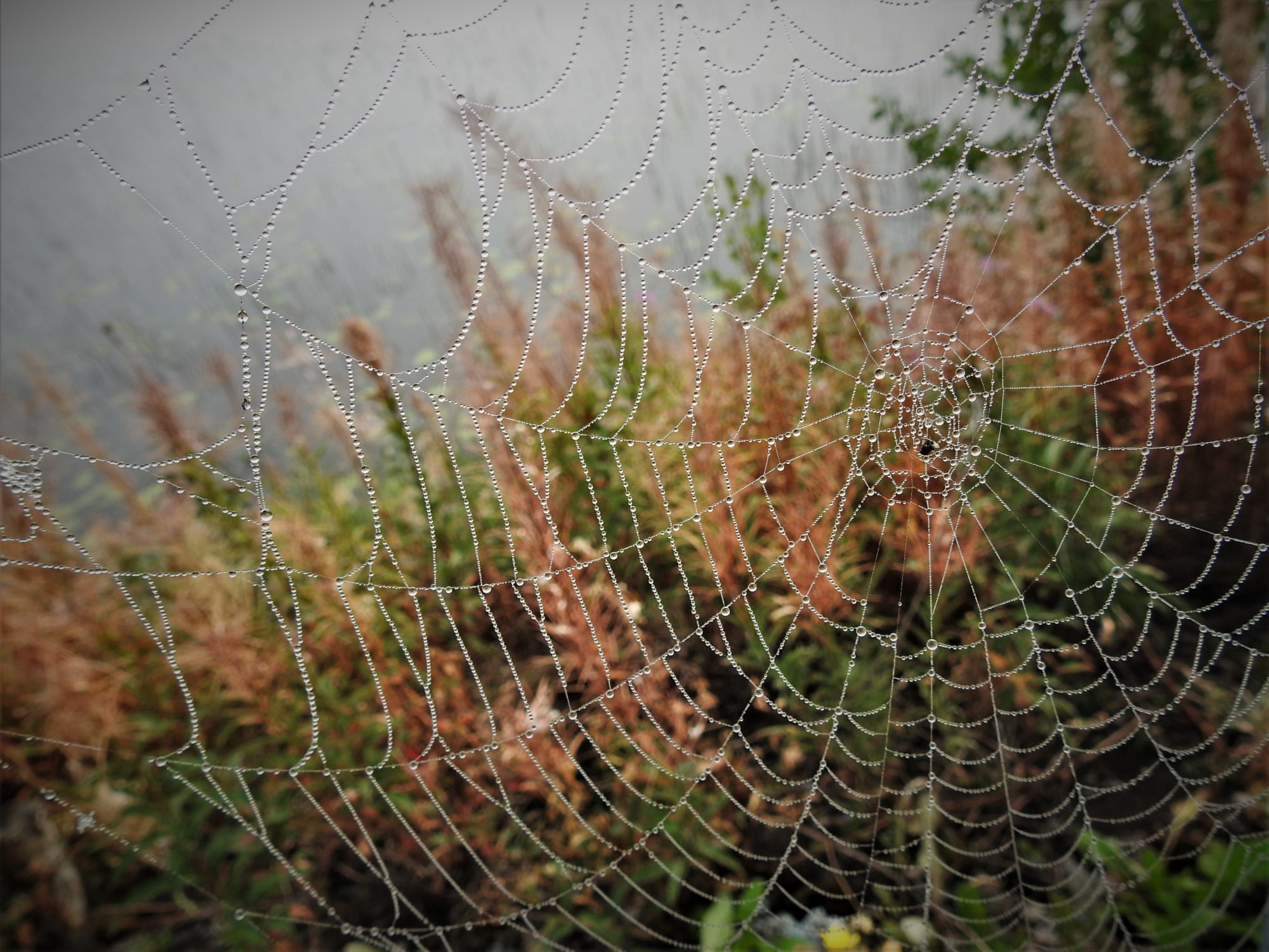 Valokuvaaja: Maarit Siitonen