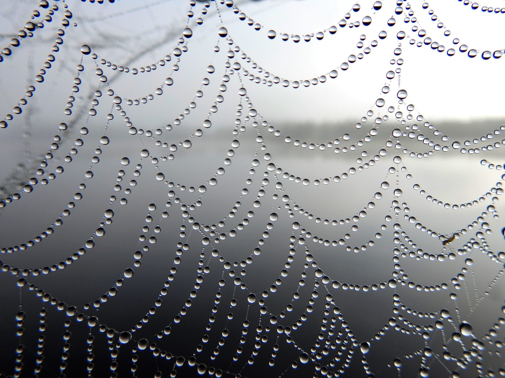 Valokuvaaja: Maarit Siitonen