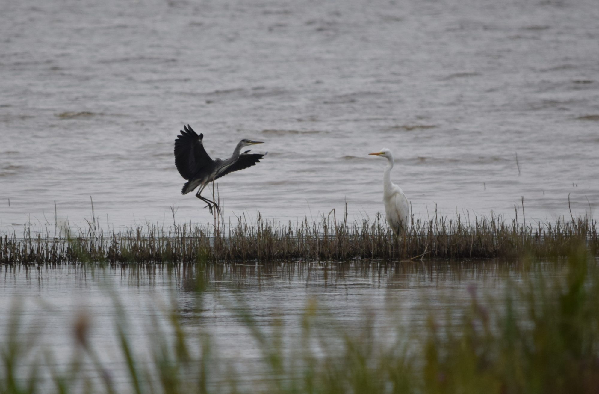 Valokuvaaja: Riitta Marjamäki