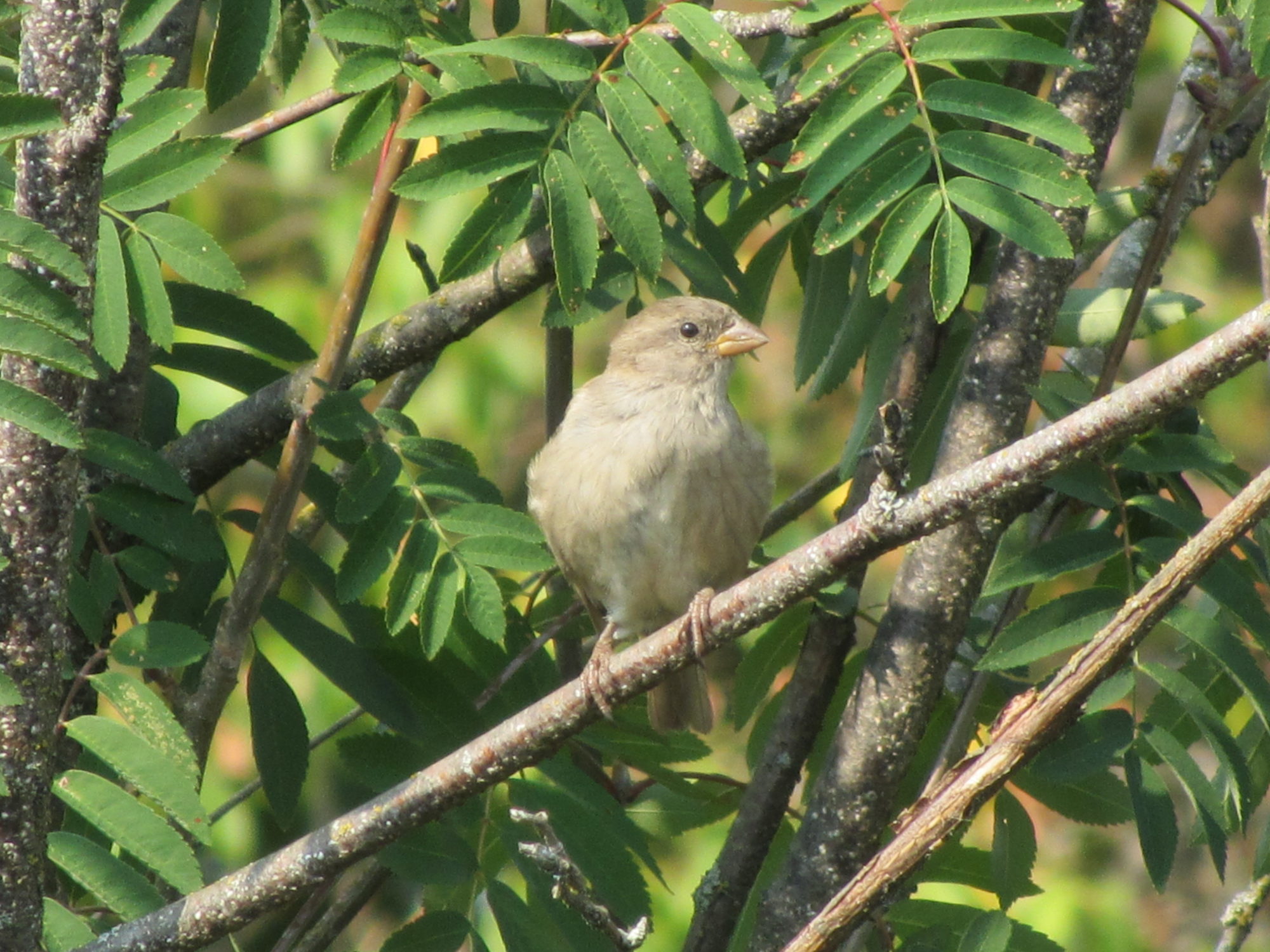Valokuvaaja: Risto Kangassalo