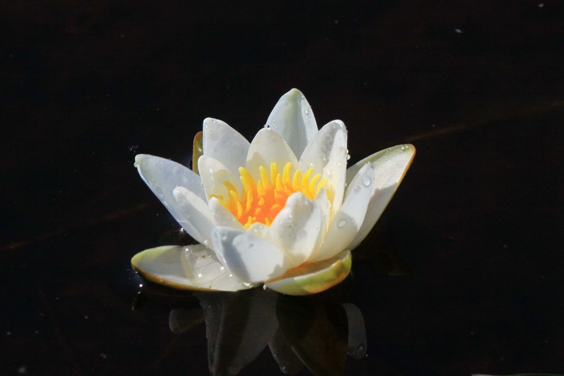 Valokuvaaja: Berndt Hannelius