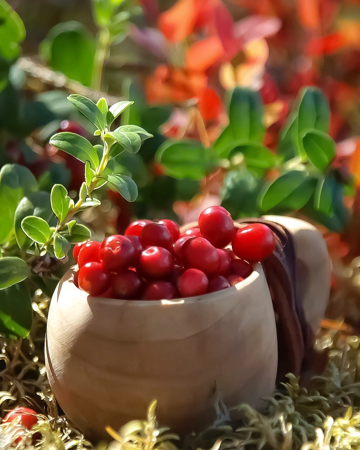 Valokuvaaja: Suvi Kinnari