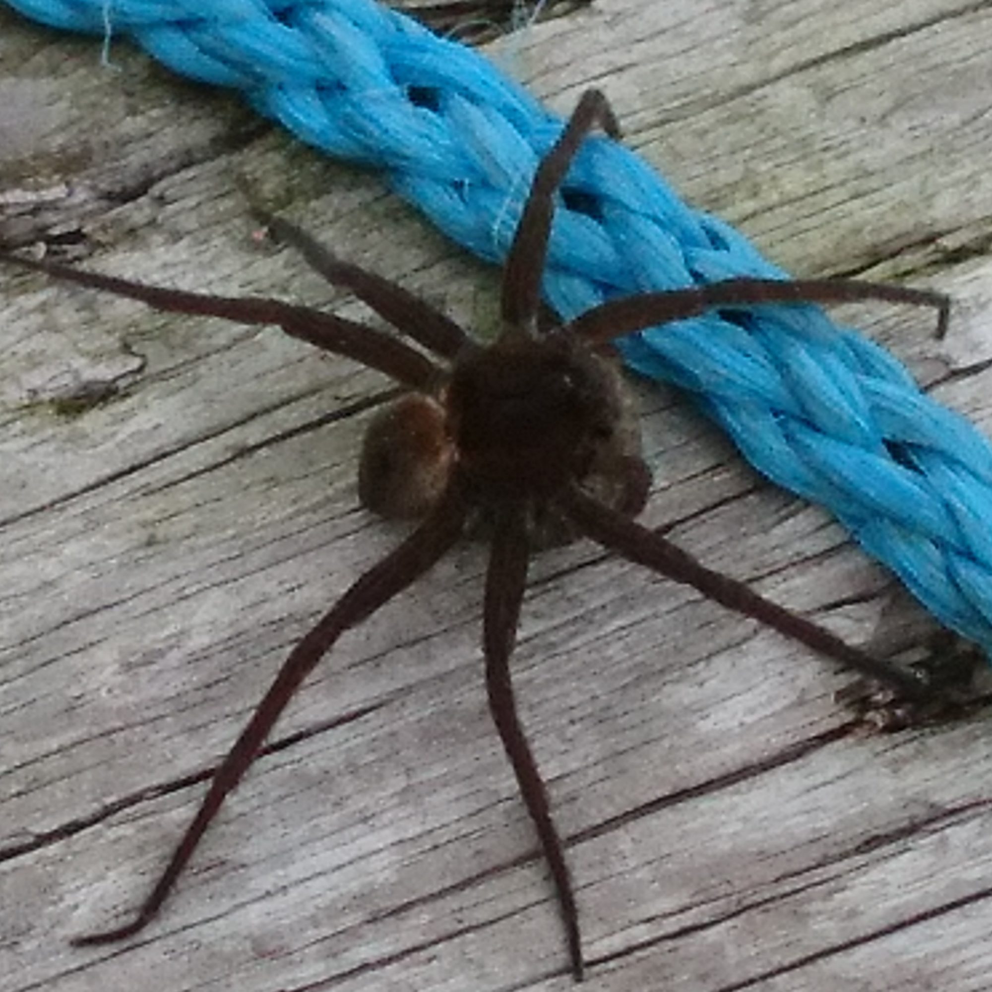 Valokuvaaja: Sinikka Nuorimaa Valokuvaaja: Sinikka Nuorimaa