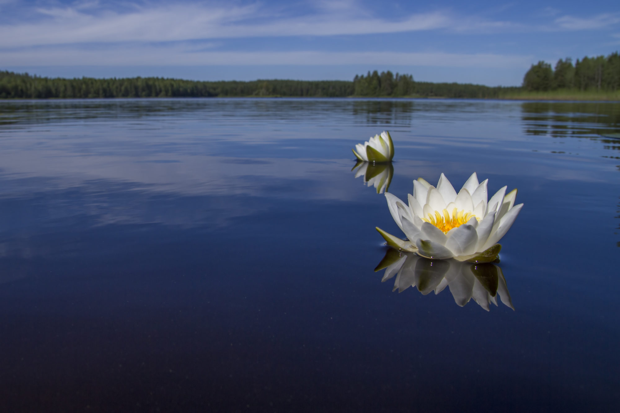Valokuvaaja: Pasi Koskela