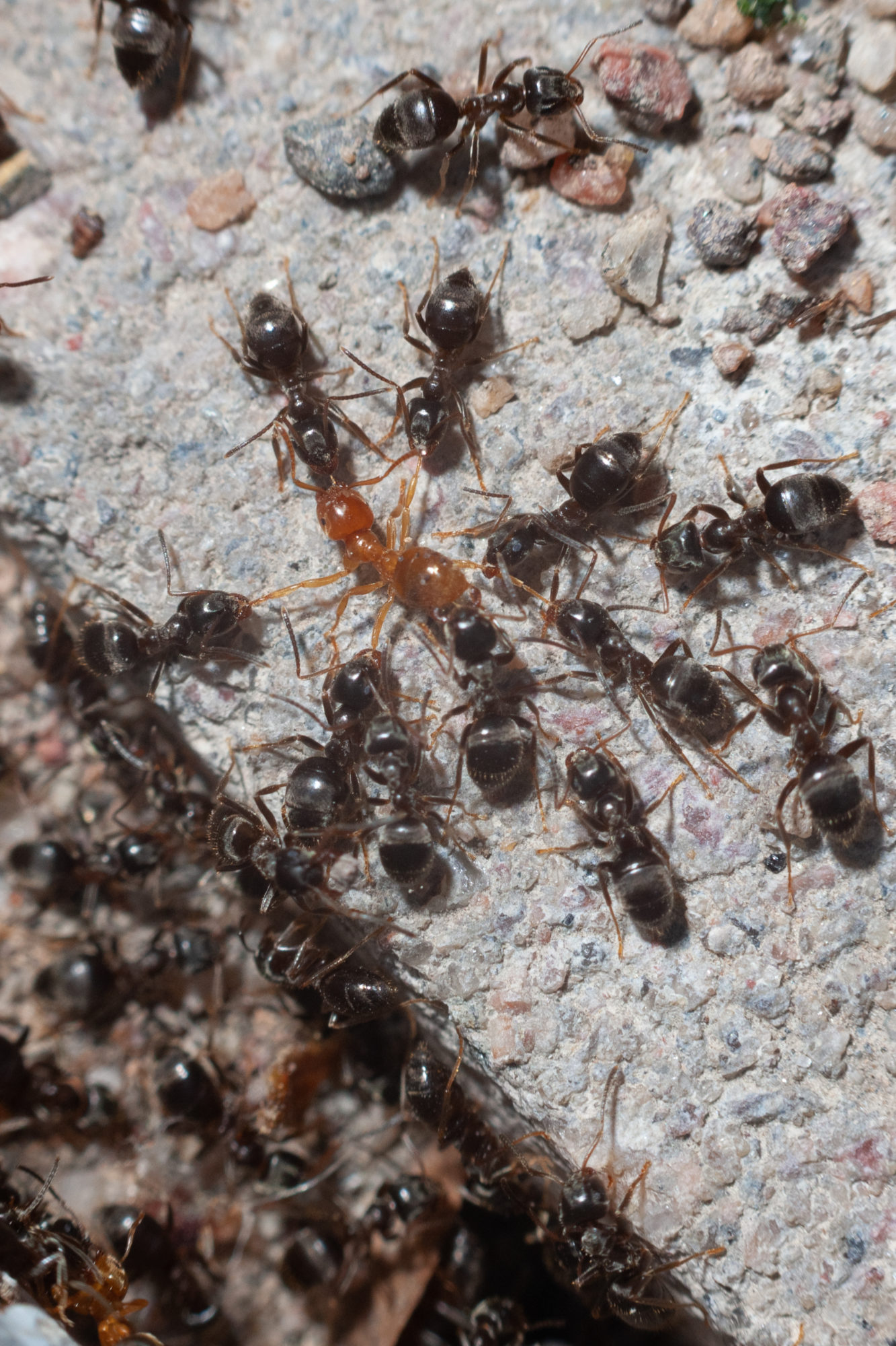 Valokuvaaja: Jarno Mäenpää