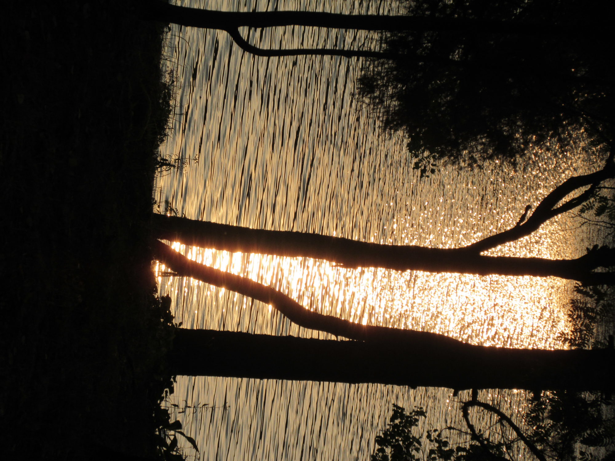 Valokuvaaja: Terttu Rantanen