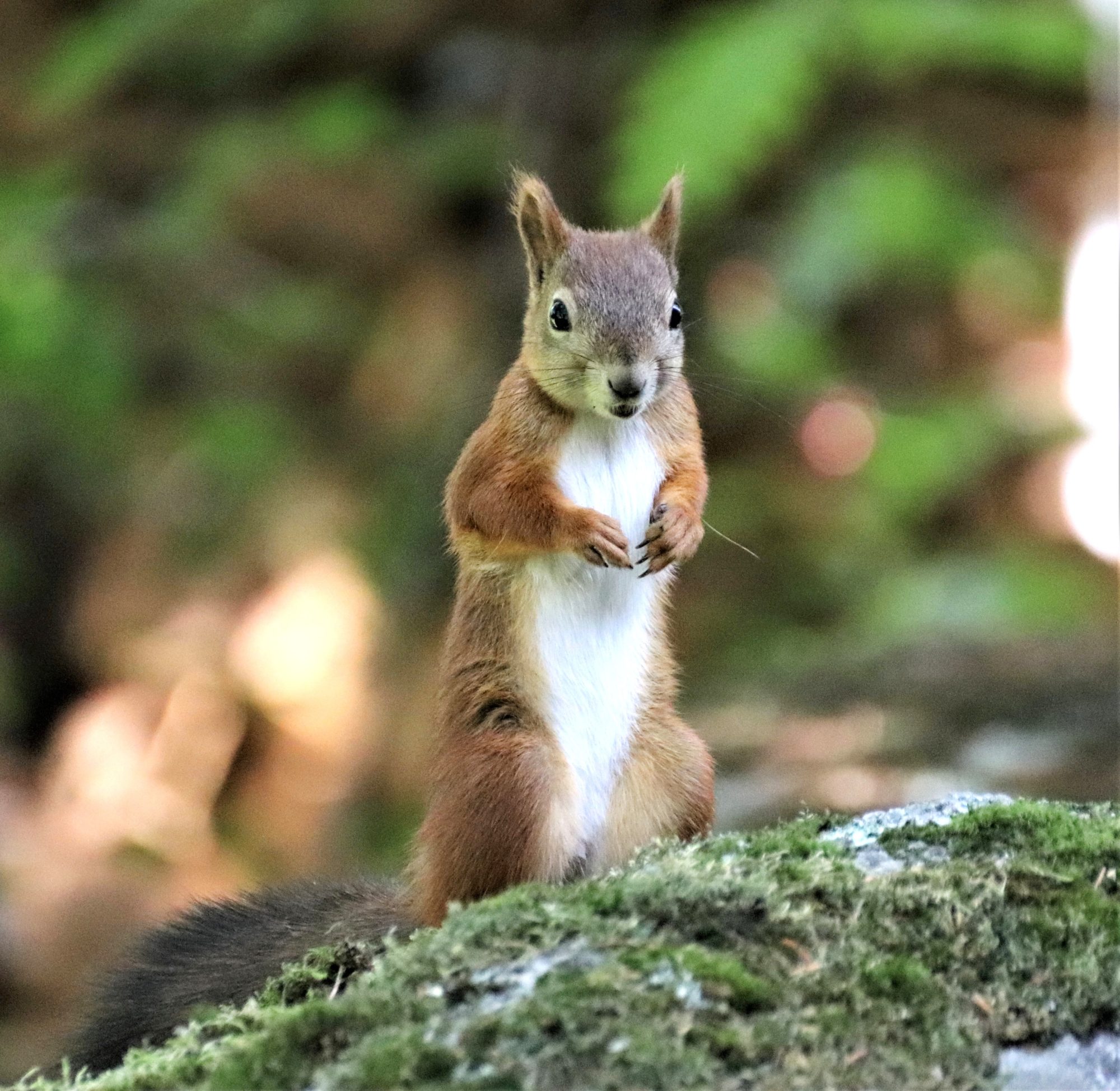 Valokuvaaja: Irja Lehtinen