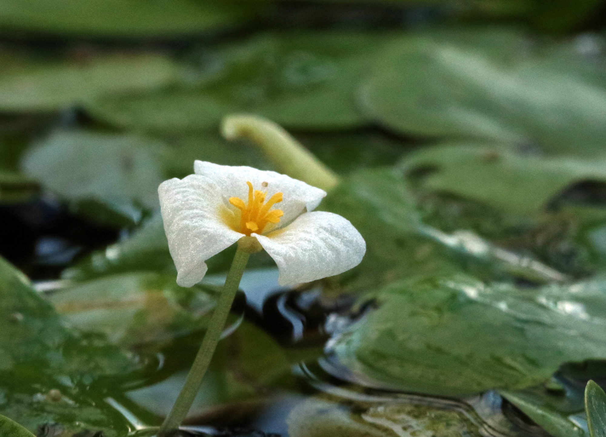 Valokuvaaja: hannu Rasiranta Valokuvaaja: hannu Rasiranta
