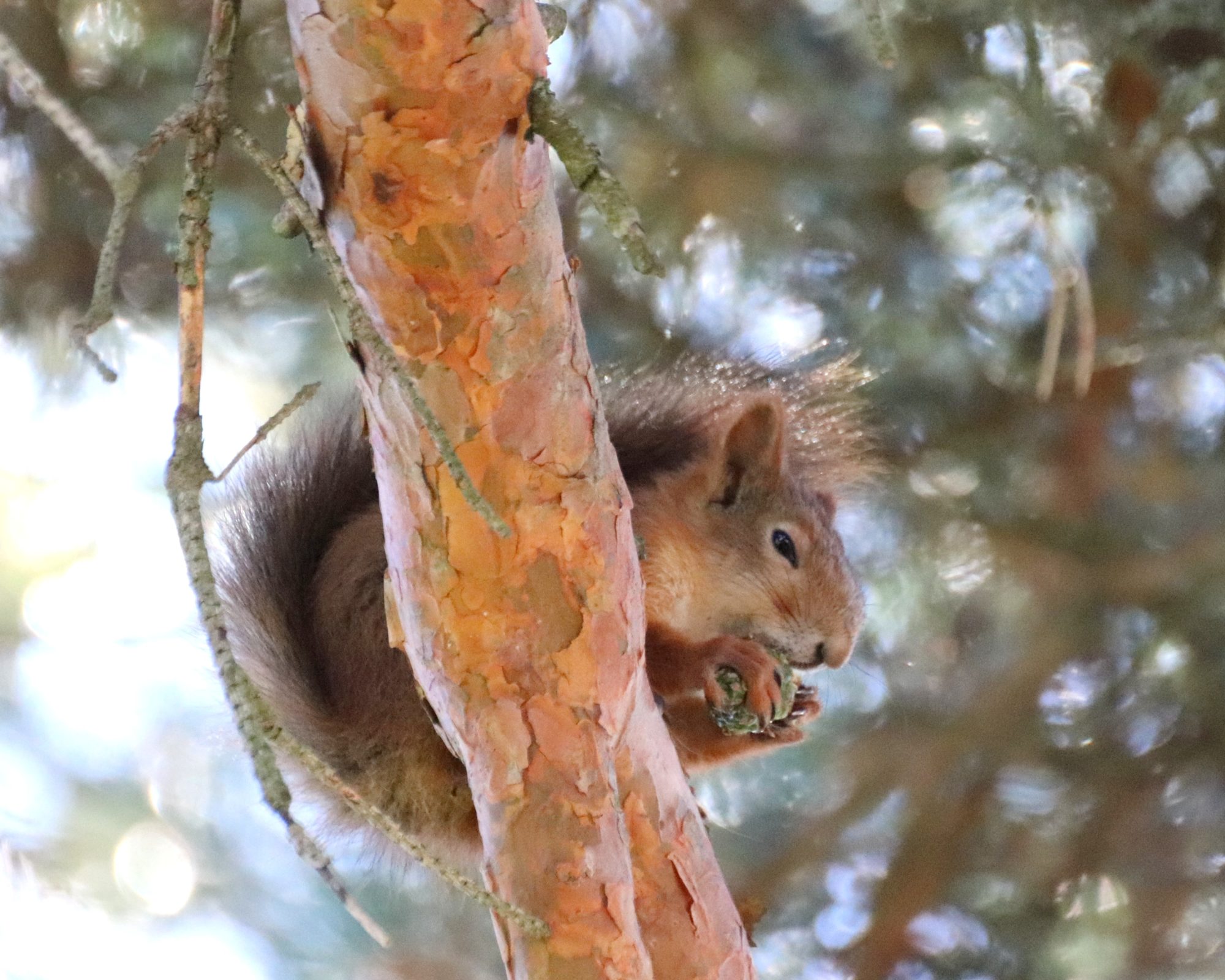 Valokuvaaja: Irja Lehtinen