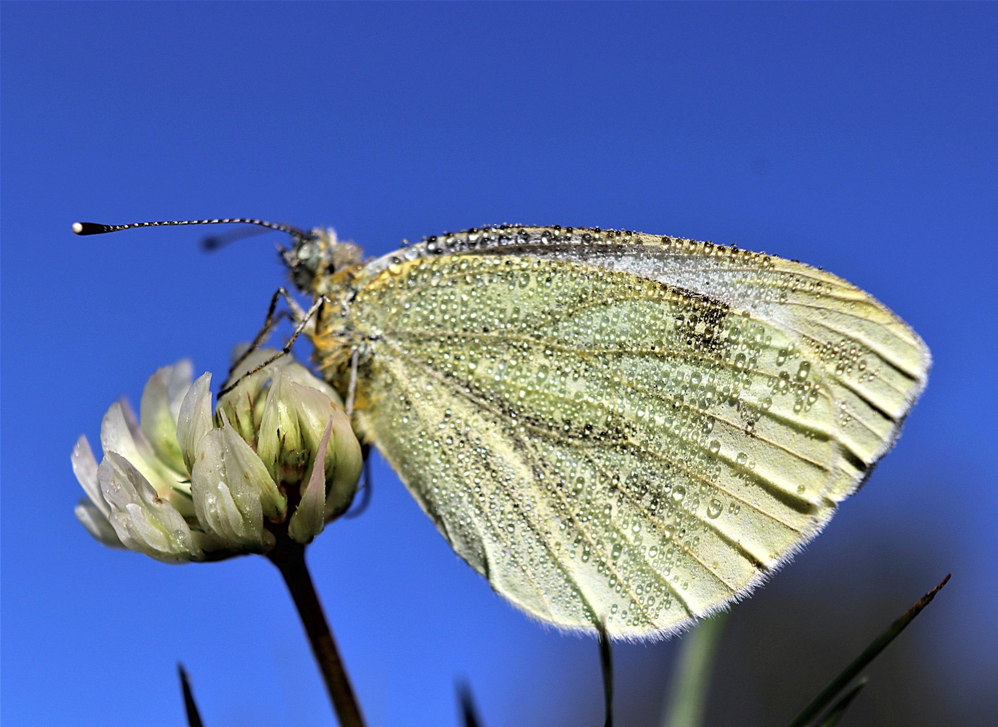 Valokuvaaja: Irja Lehtinen
