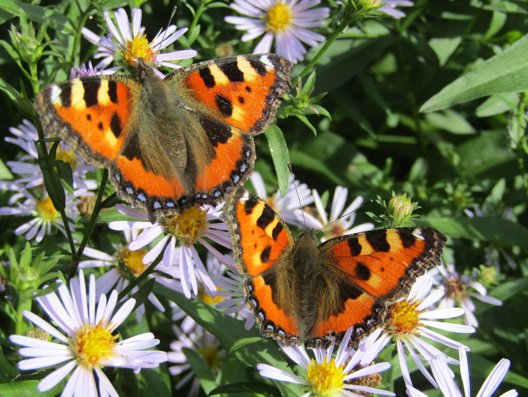 Valokuvaaja: Sirkka Ruotoistenmäki