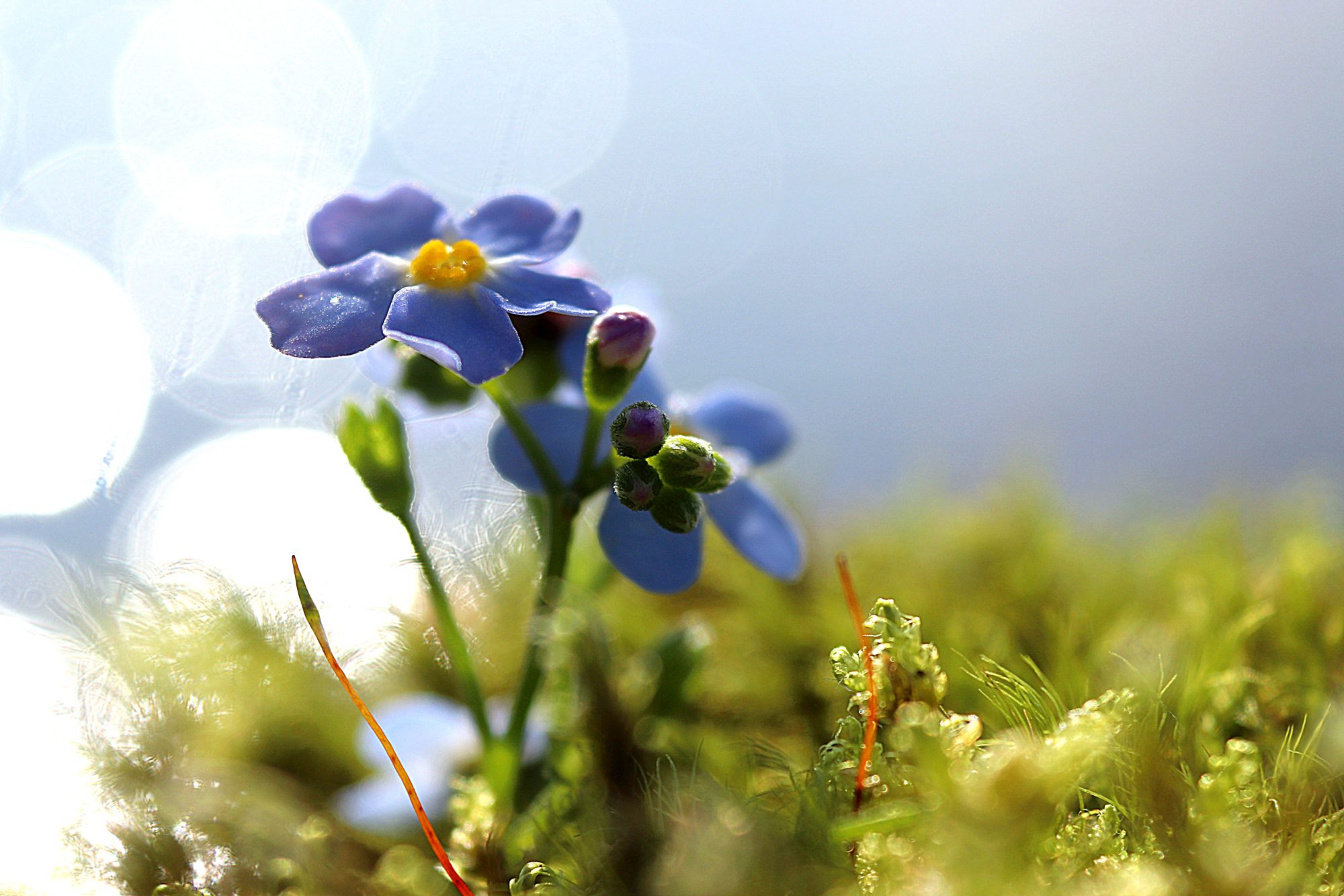 Valokuvaaja: Irja Lehtinen