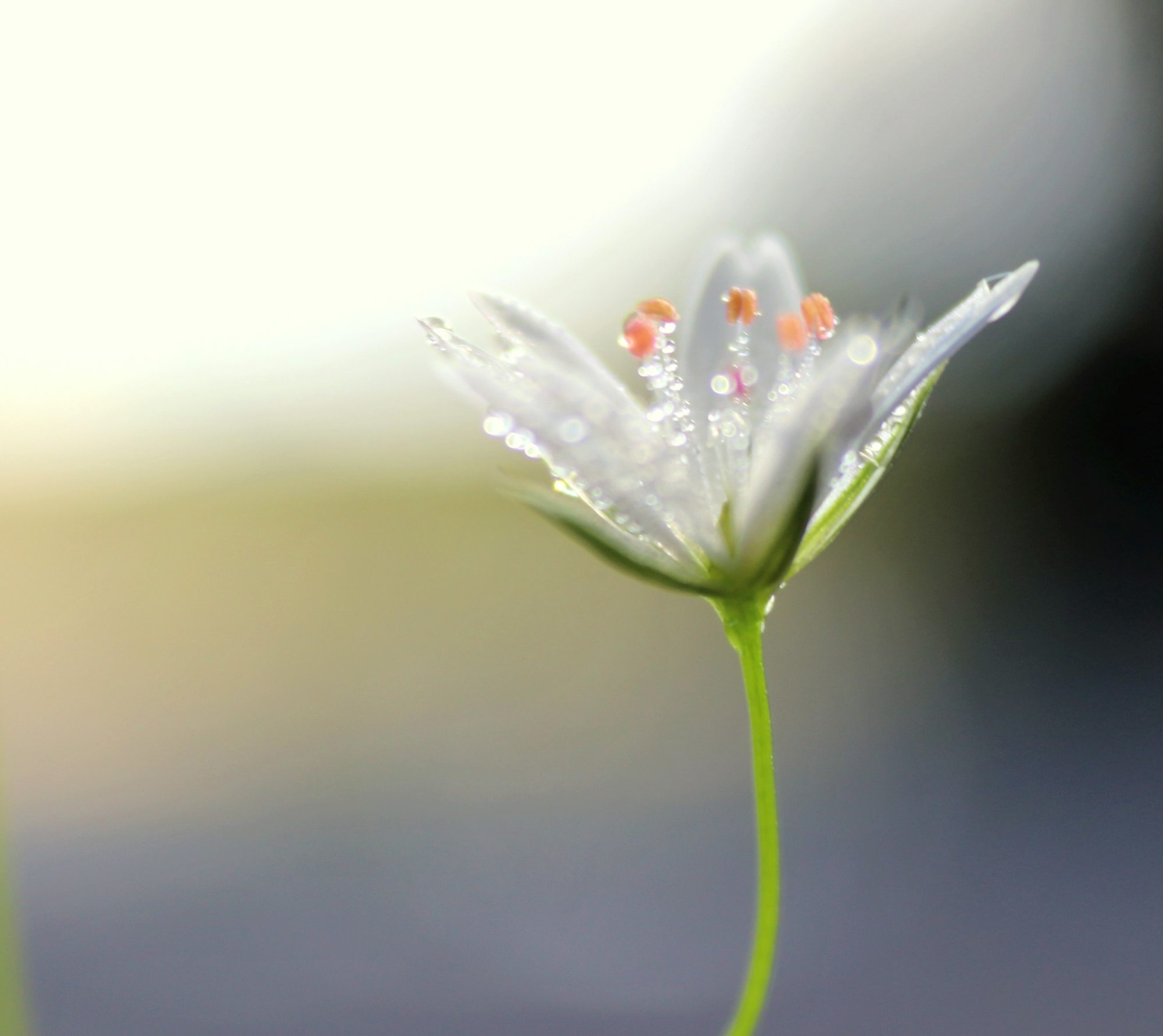 Valokuvaaja: Irja Lehtinen