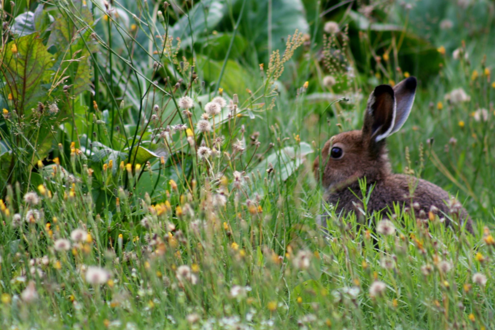 Valokuvaaja: Pirkko Siukonen