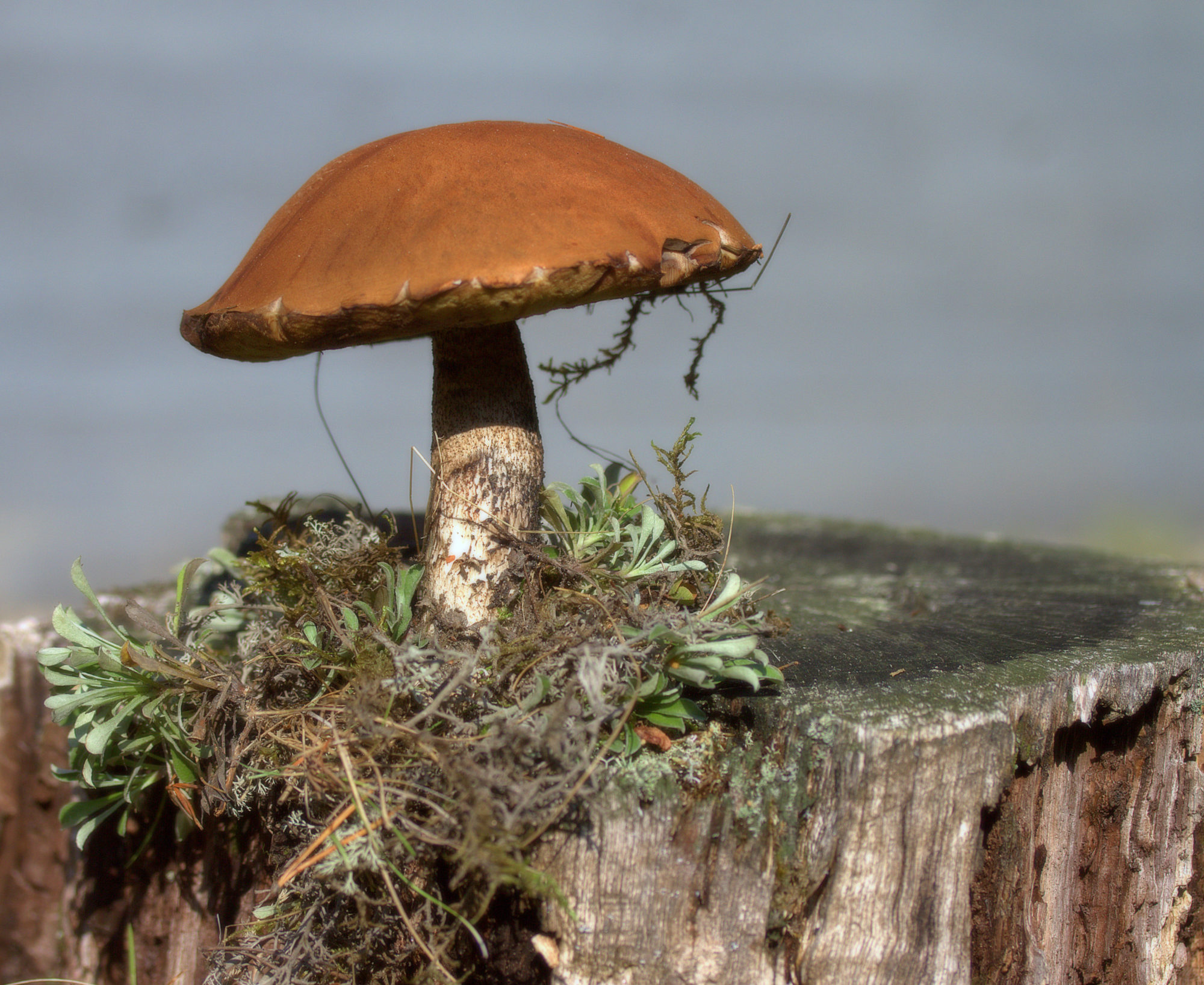 Valokuvaaja: sirpa Jyske