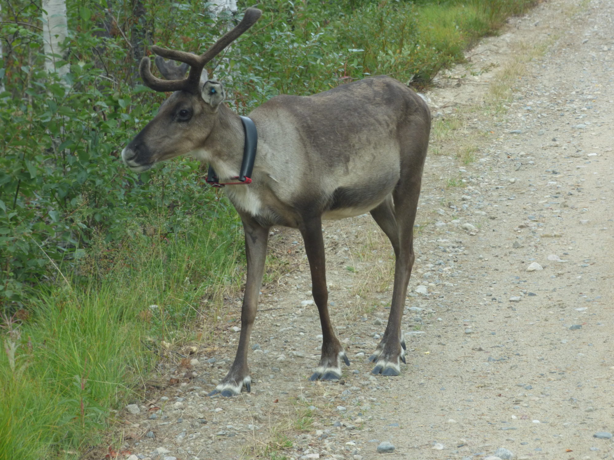 Valokuvaaja: Hannu Rissanen Valokuvaaja: Hannu Rissanen