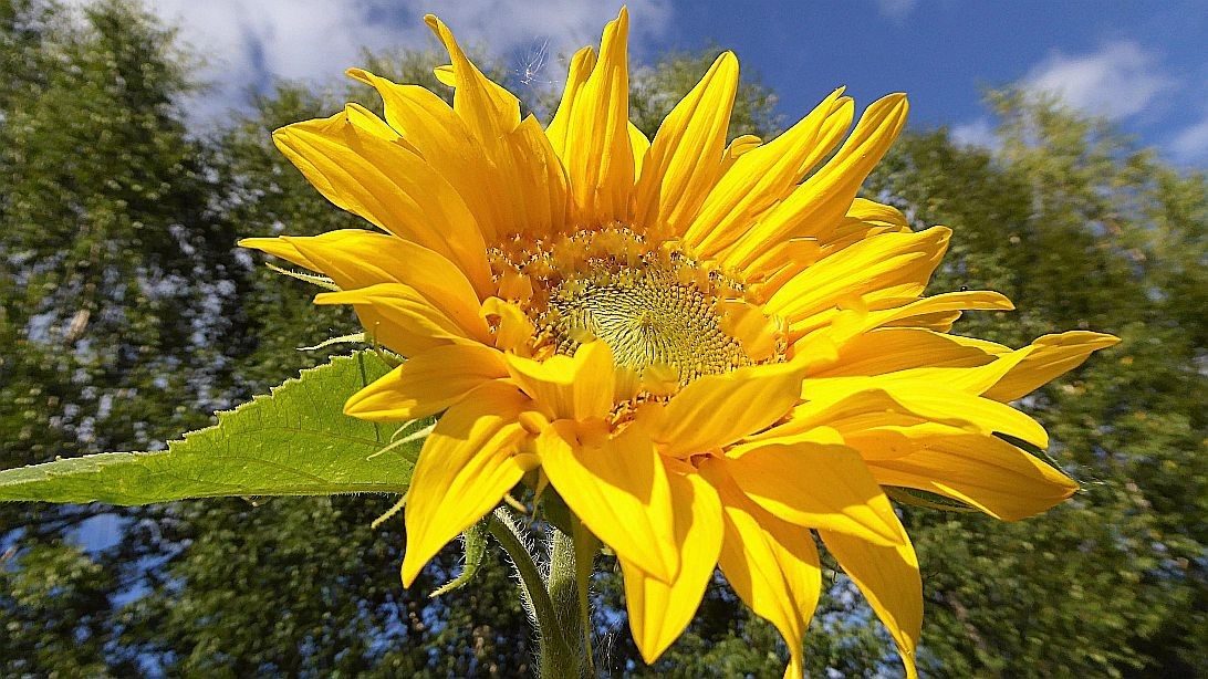 Valokuvaaja: Arja Valtonen