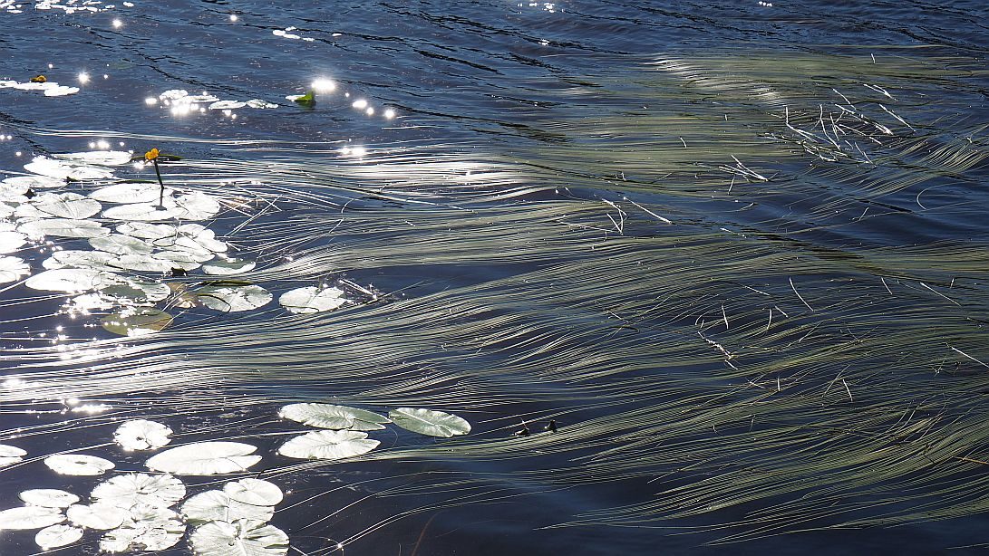 Valokuvaaja: Arja Valtonen