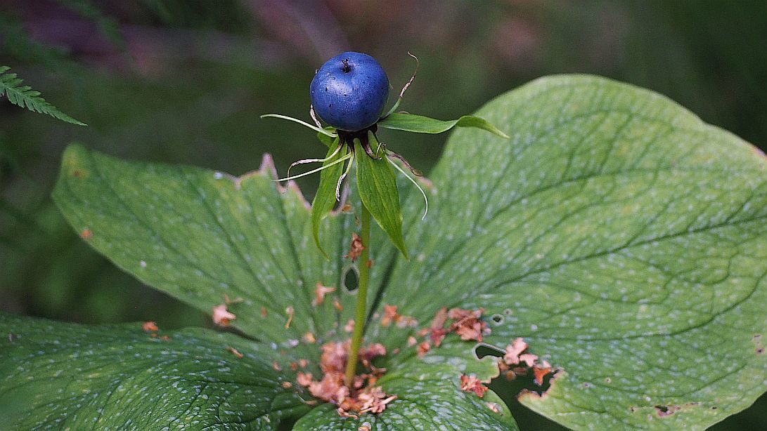 Valokuvaaja: Arja Valtonen