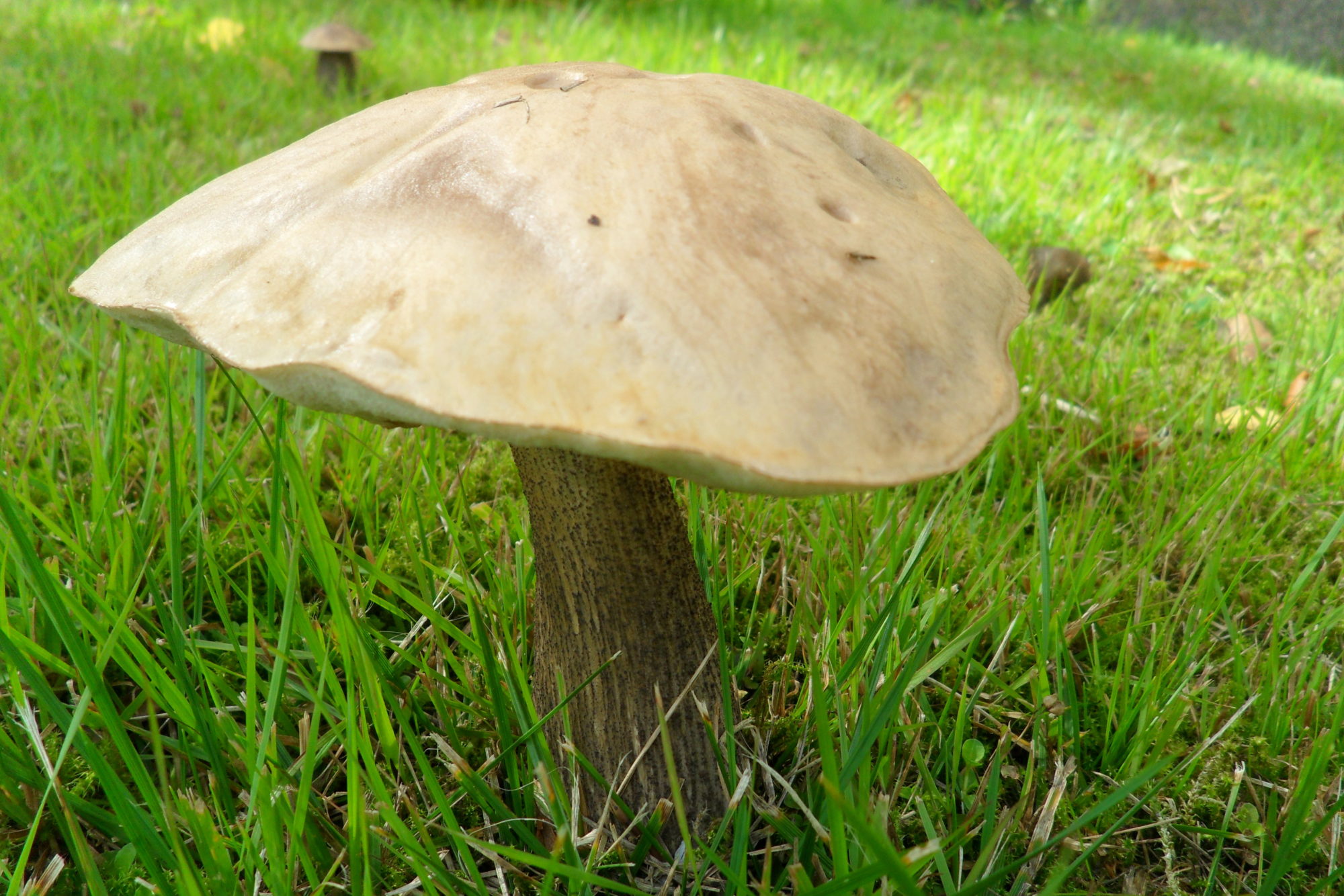 Valokuvaaja: Kaarlo Asikainen