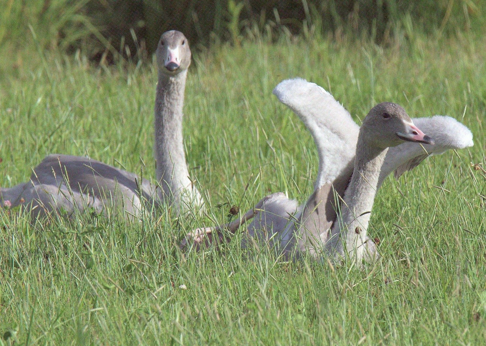 Valokuvaaja: sirpa jyske