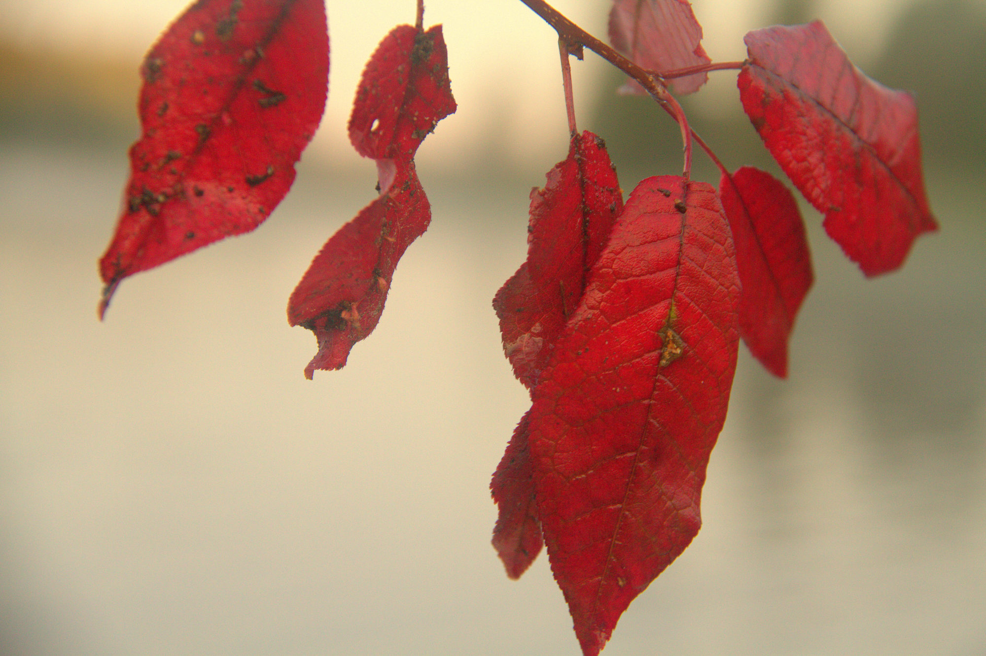 Valokuvaaja: sirpa Jyske