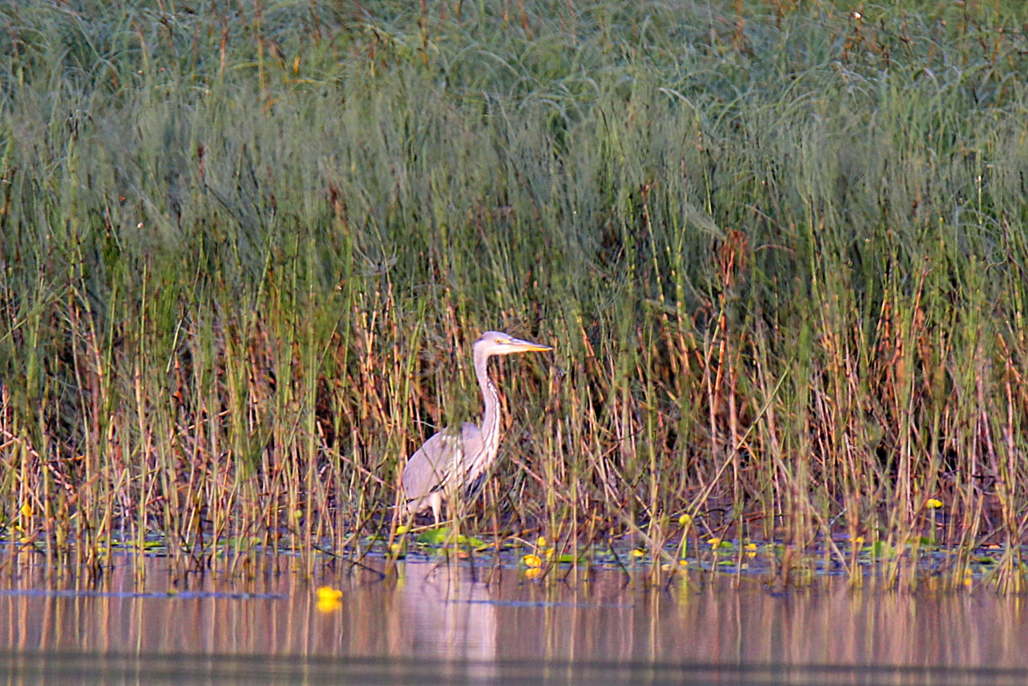 Valokuvaaja: sirpa Jyske