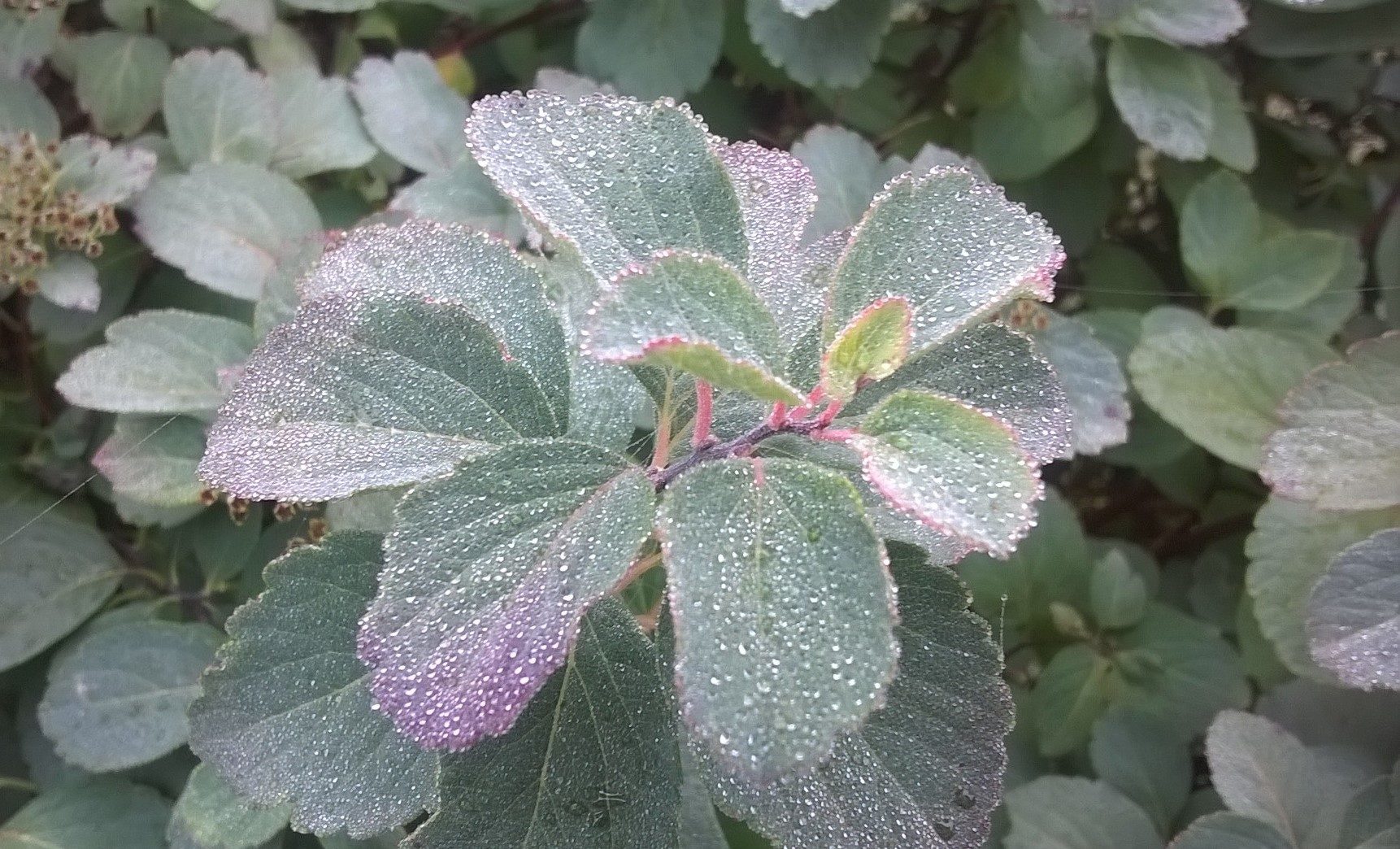 Valokuvaaja: Kirsi Sinimetsä