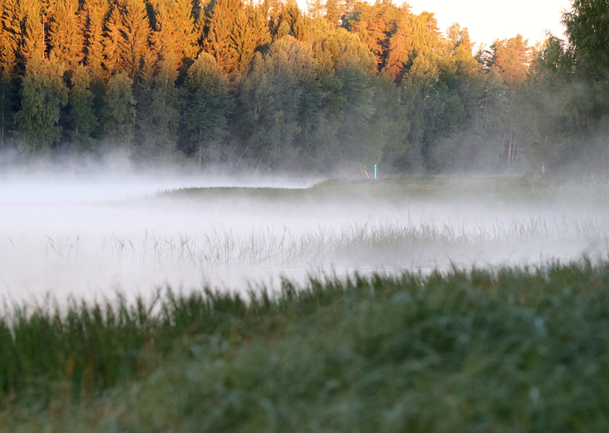 Valokuvaaja: sirpa Jyske