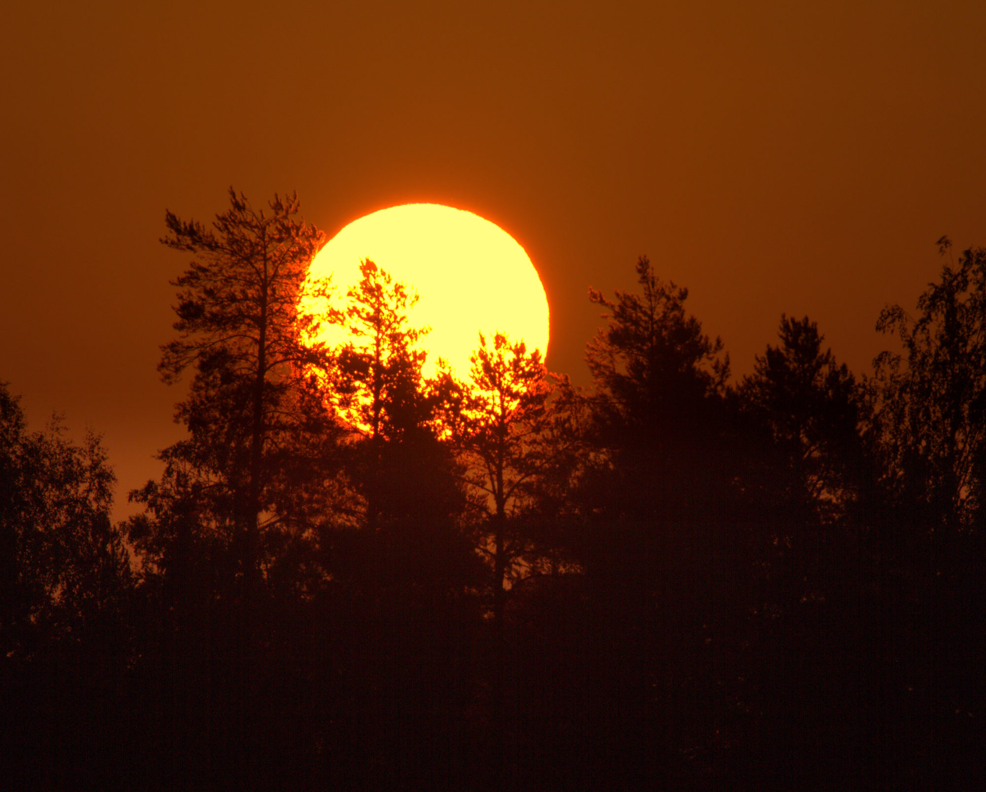 Valokuvaaja: sirpa jyske