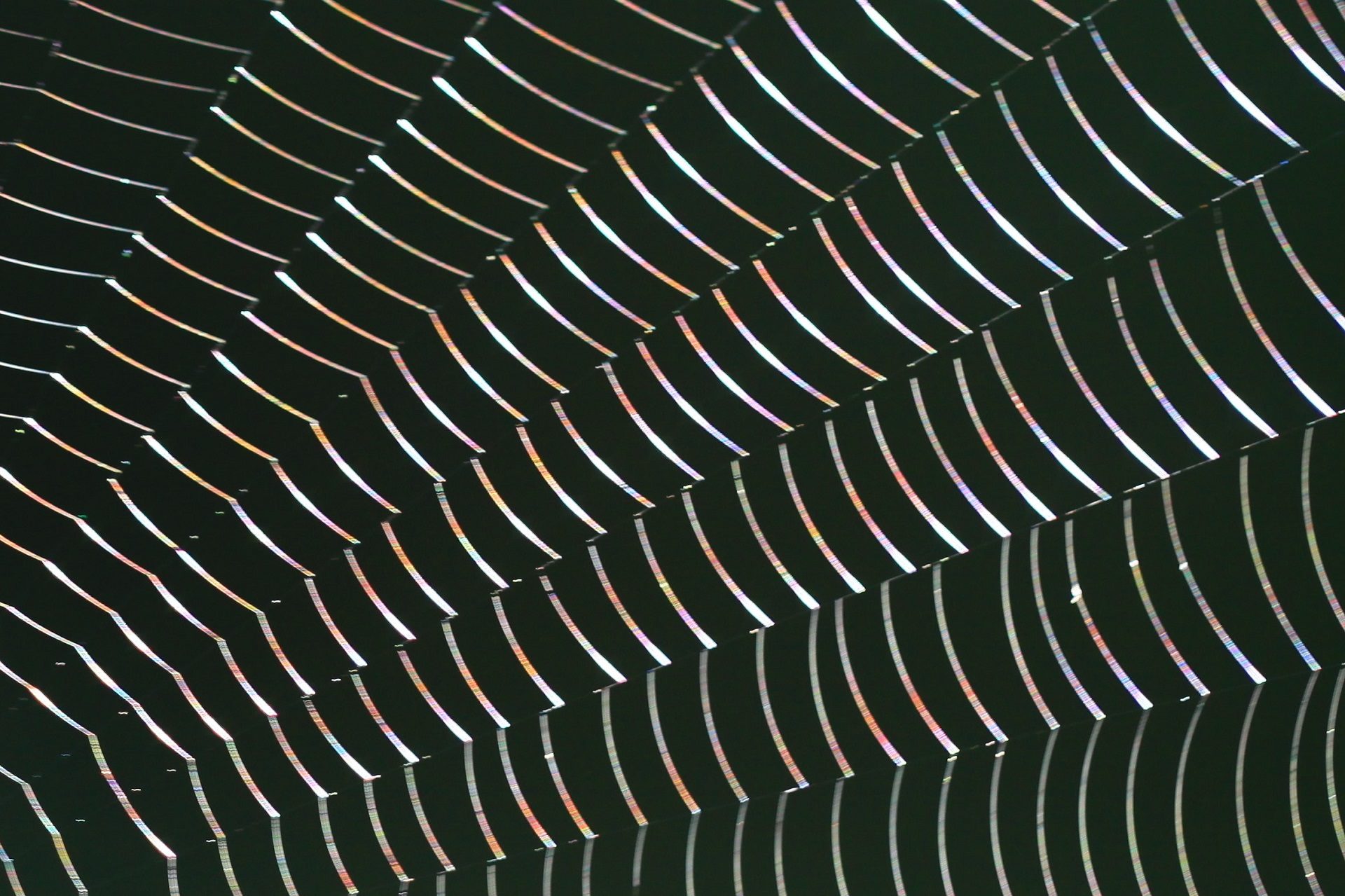 Valokuvaaja: Berndt Hannelius