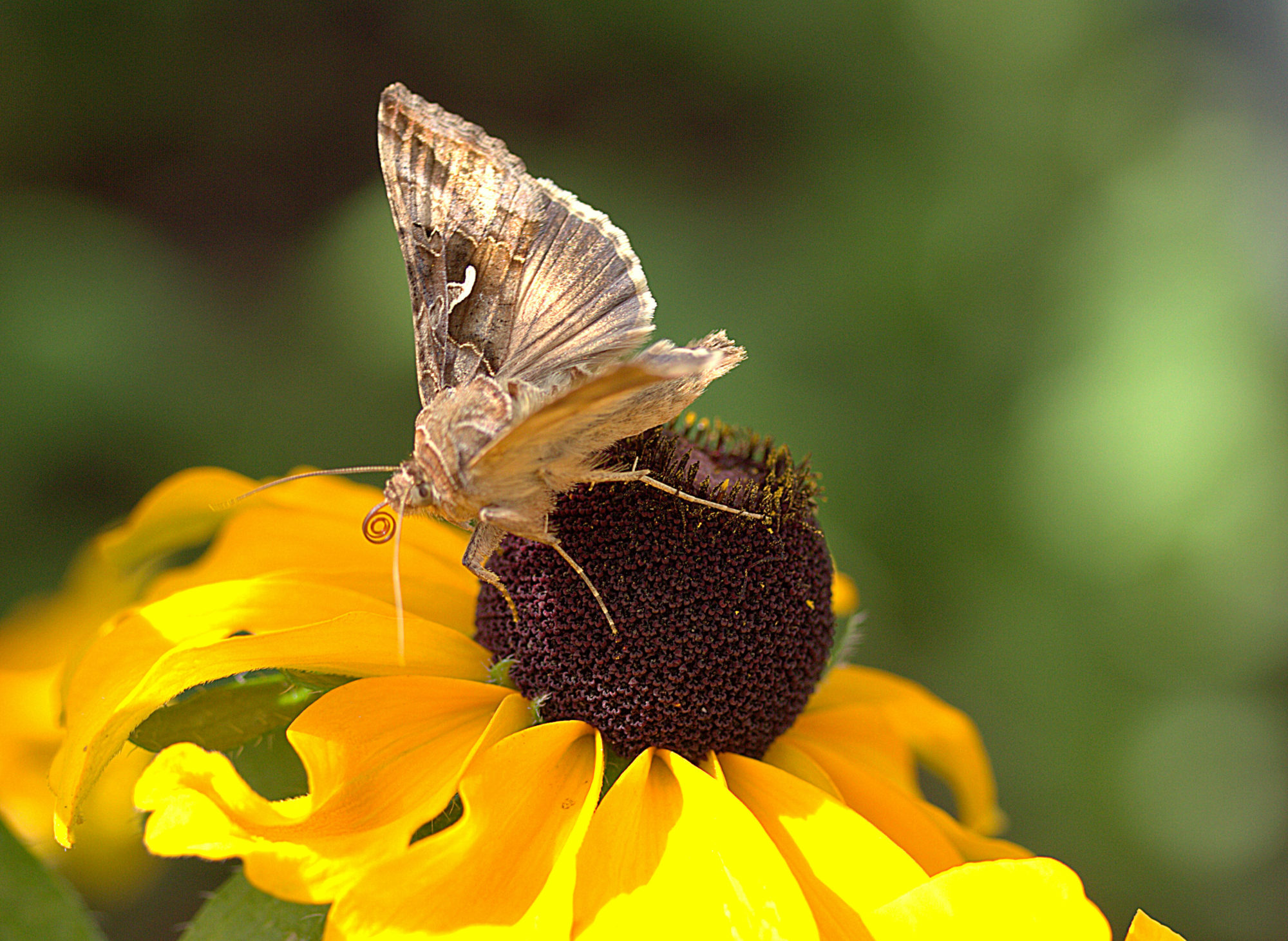 Valokuvaaja: sirpa jyske