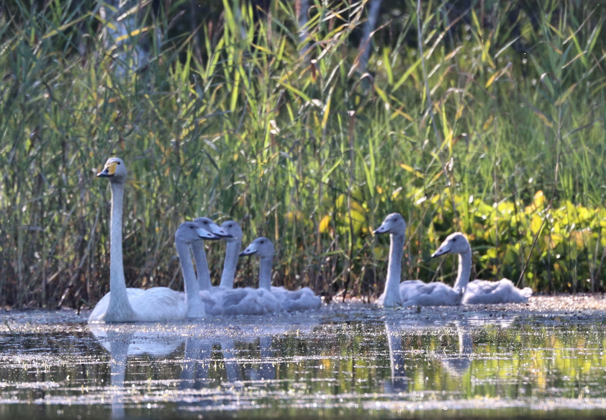 Valokuvaaja: Ahti Keränen