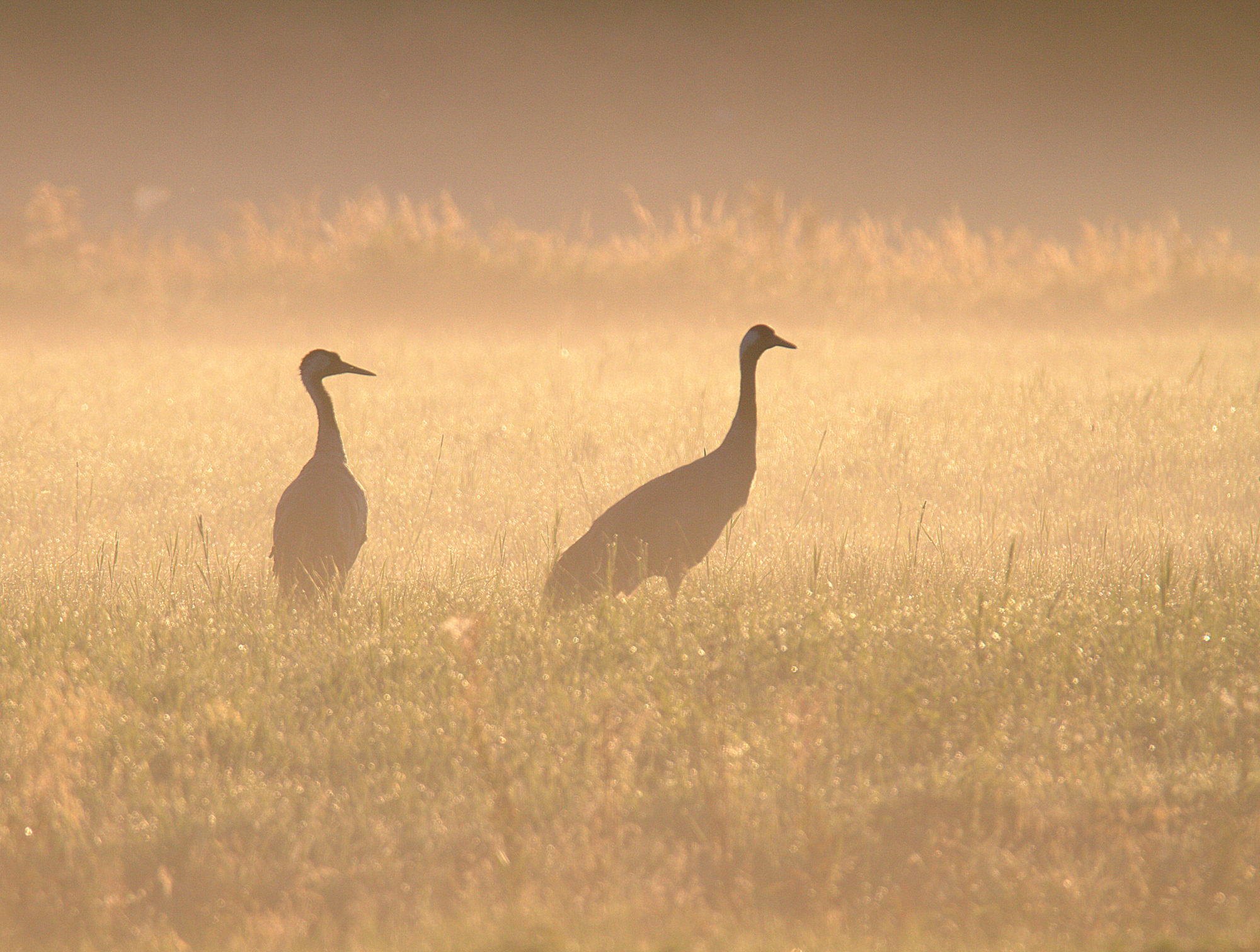Valokuvaaja: sirpa Jyske
