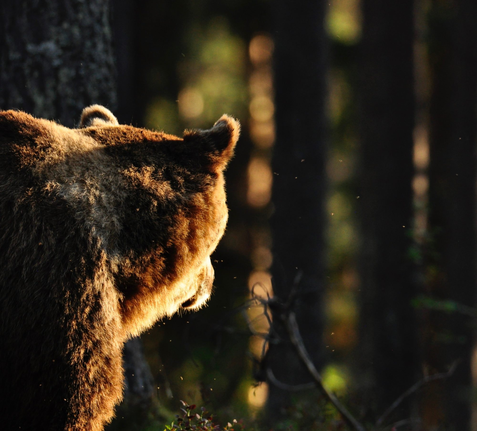 Valokuvaaja: Jenni Merilä