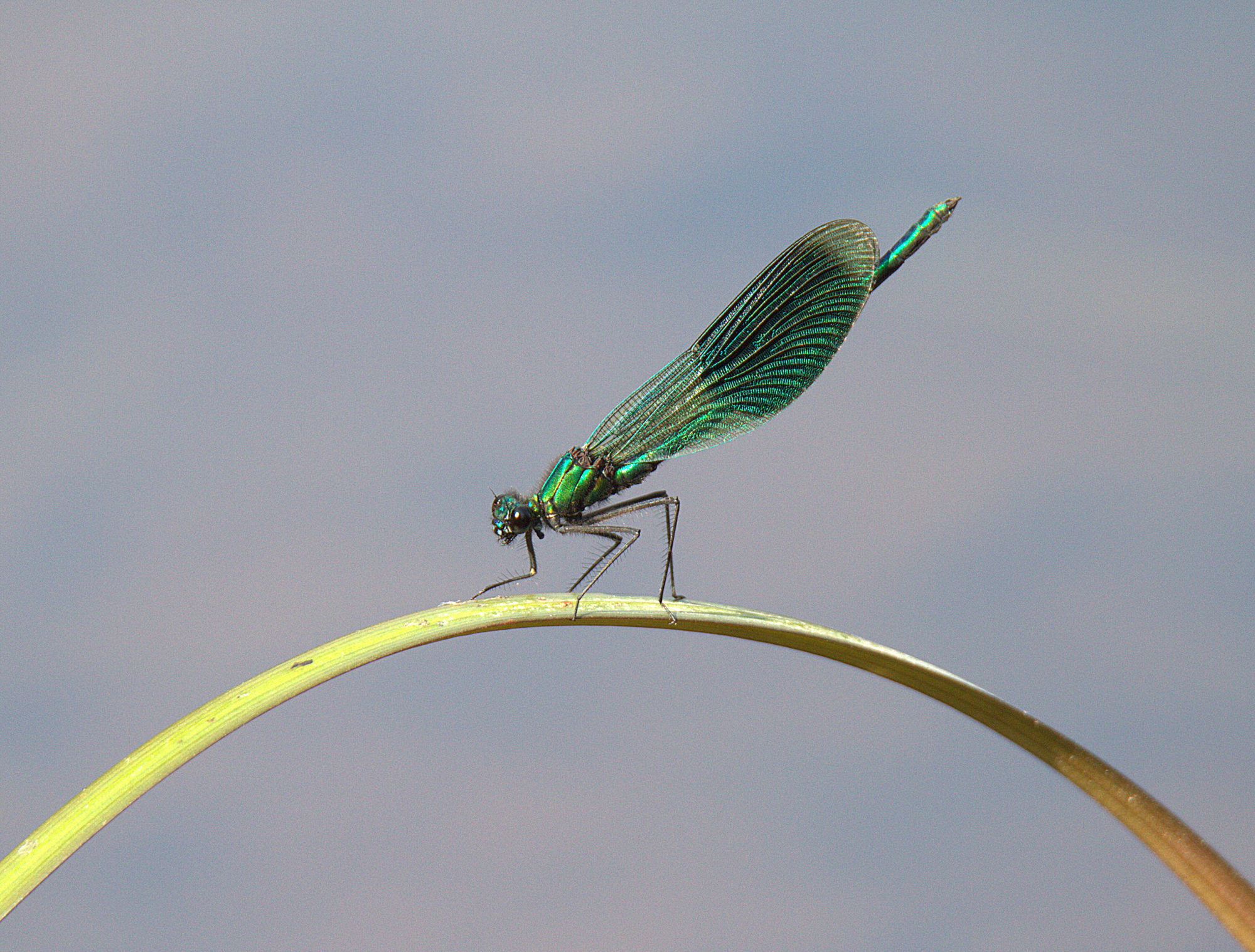 Valokuvaaja: sirpa jyske