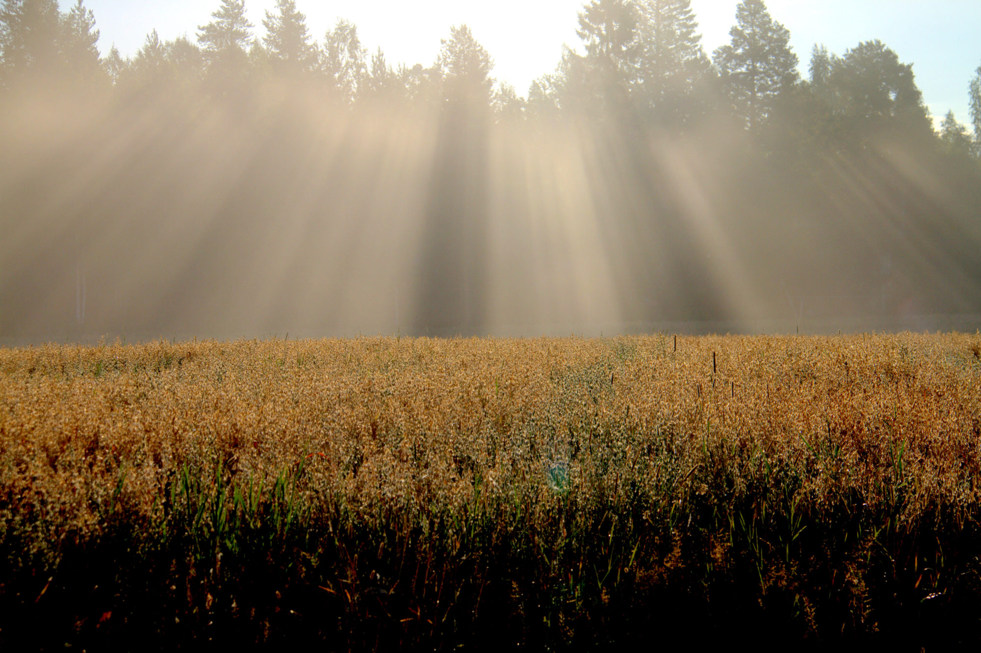 Valokuvaaja: sirpa jyske