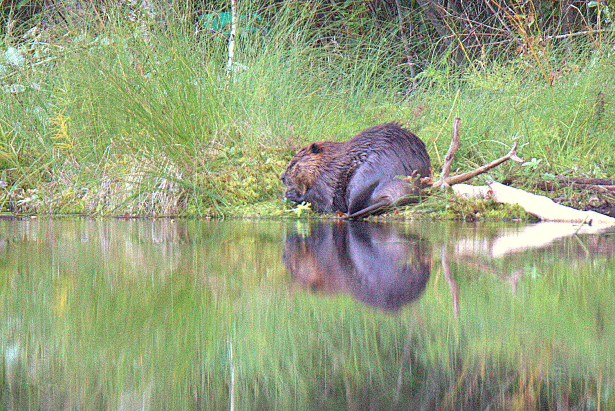 Valokuvaaja: sirpa Jyske