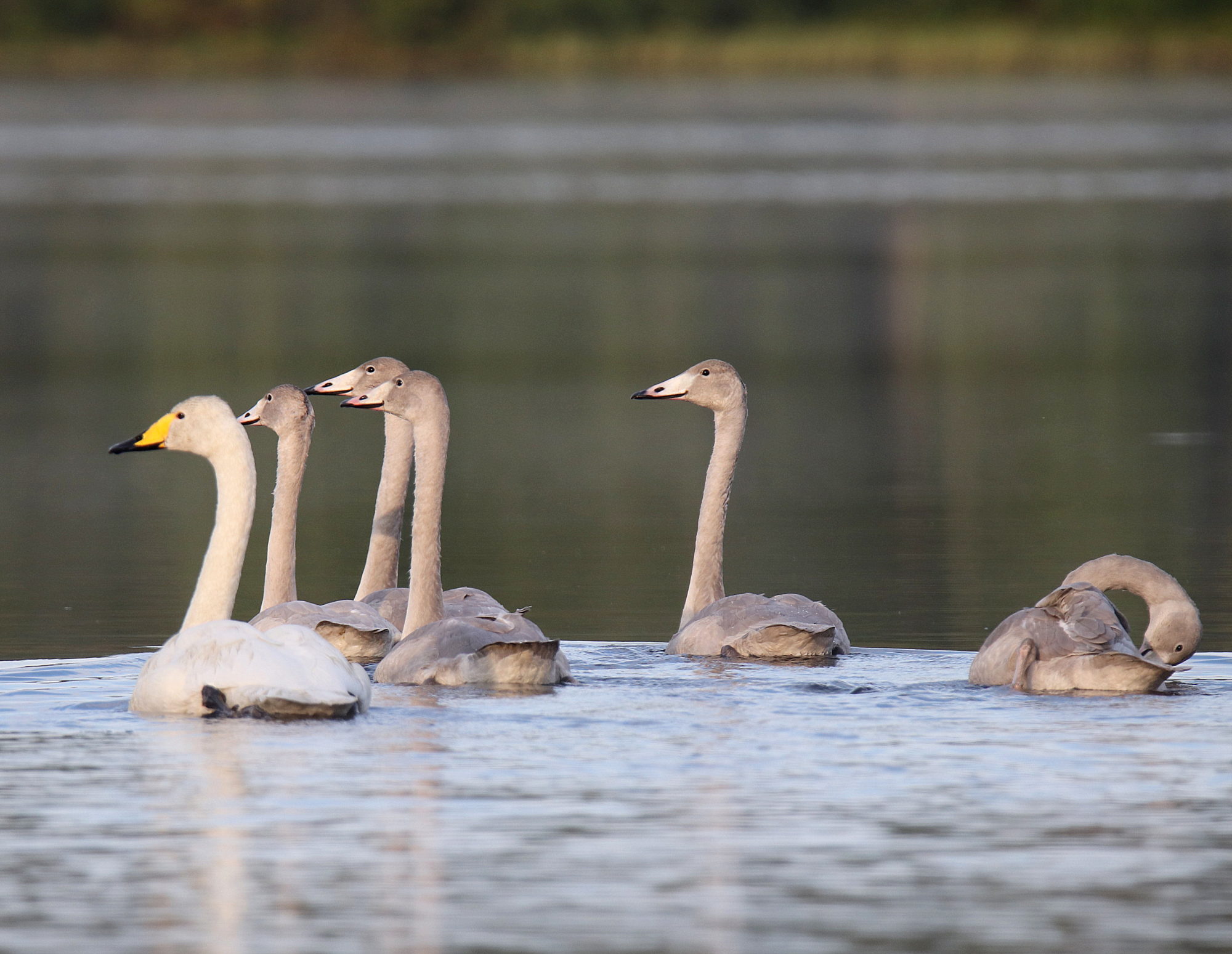Valokuvaaja: sirpa Jyske