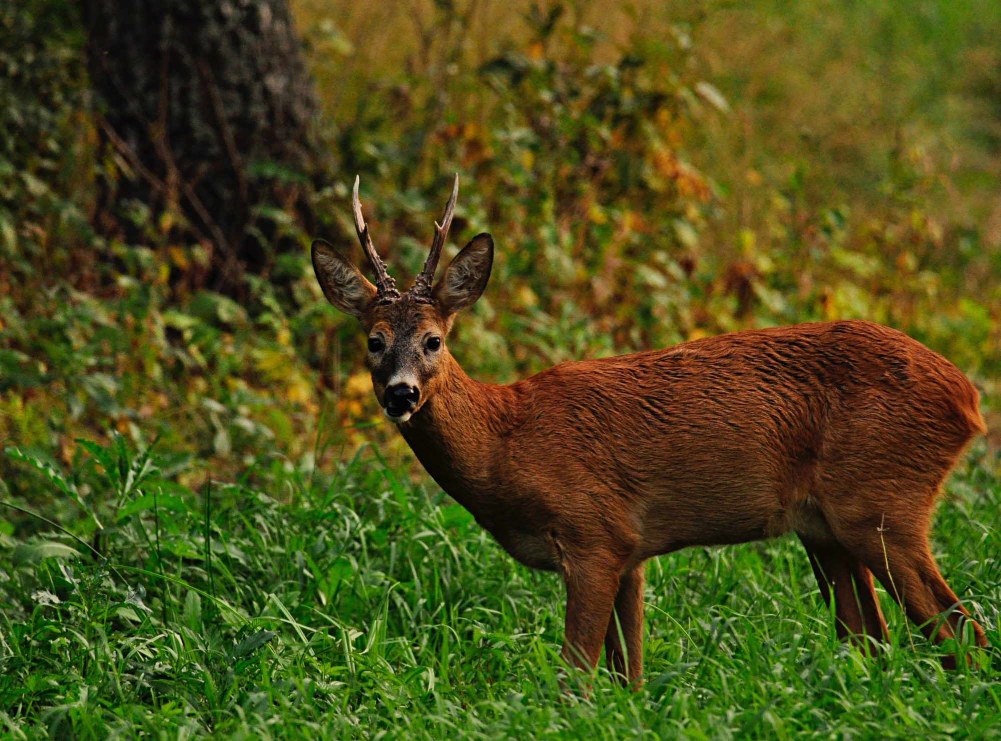 Valokuvaaja: Jenni merilä