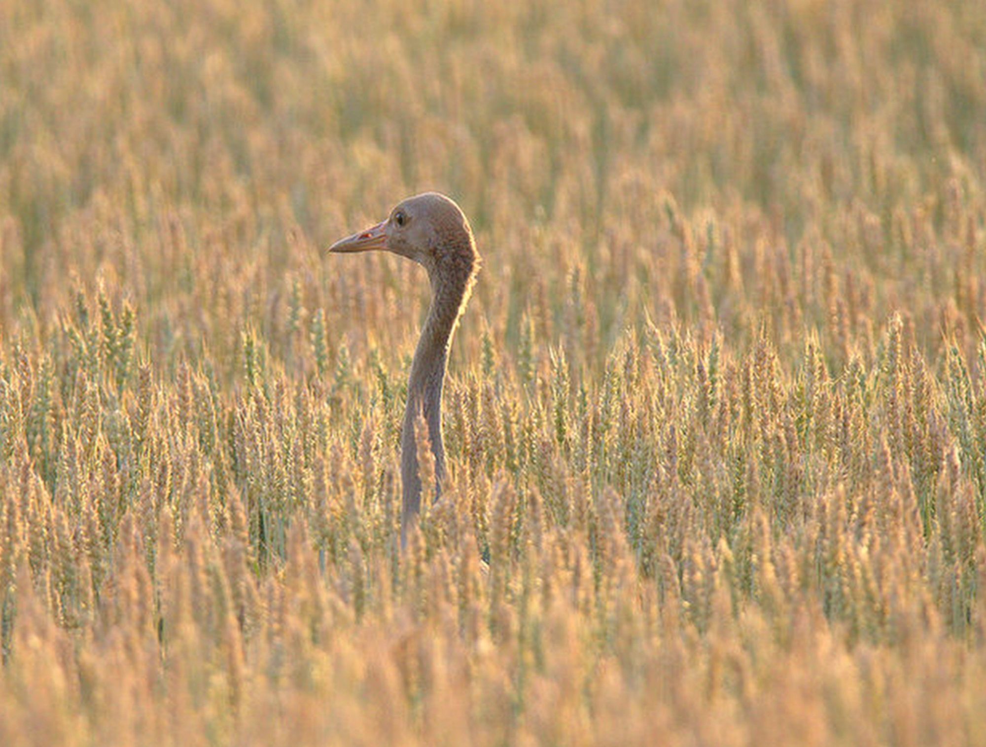 Valokuvaaja: sirpa jyske