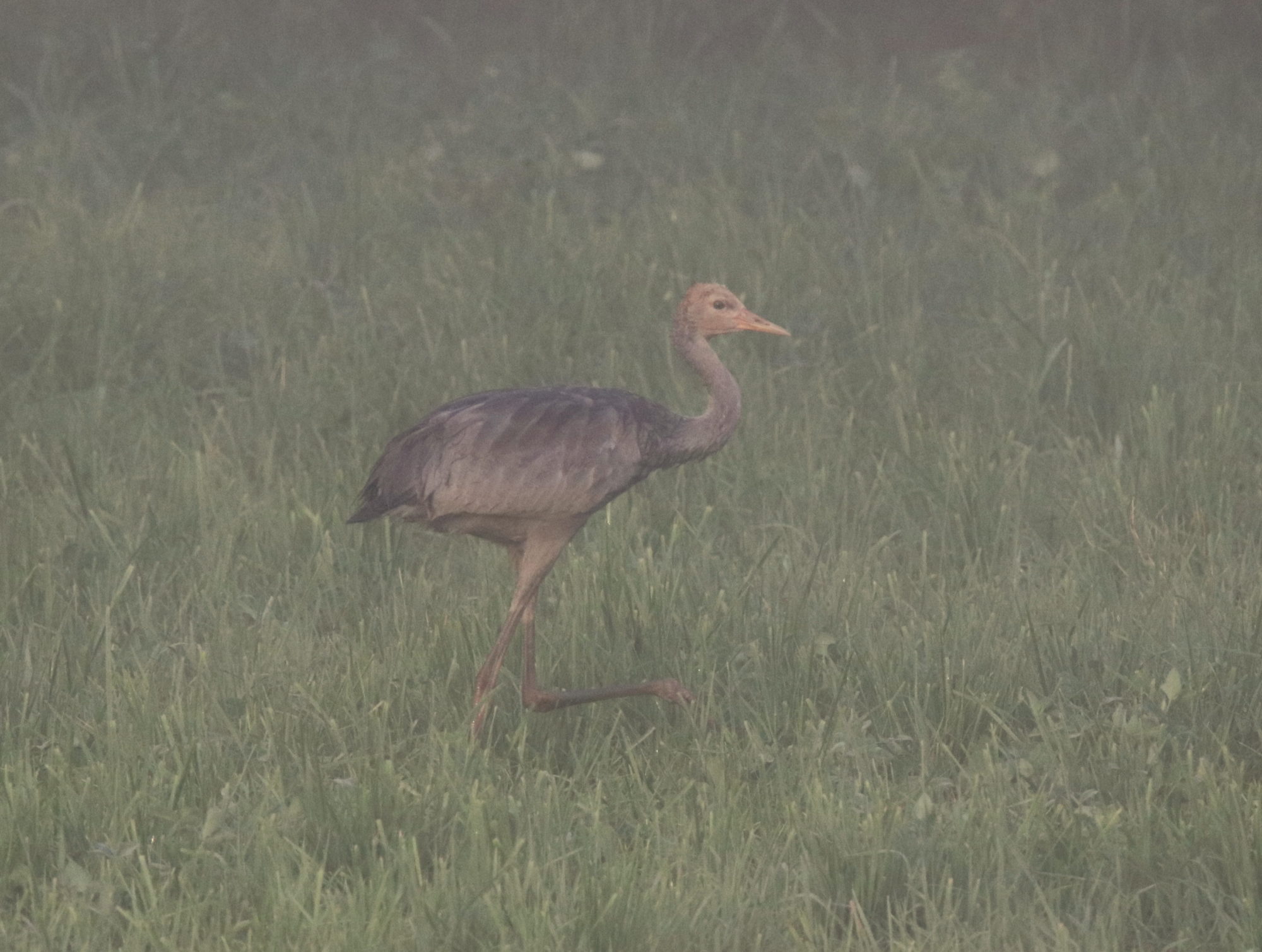 Valokuvaaja: sirpa jyske