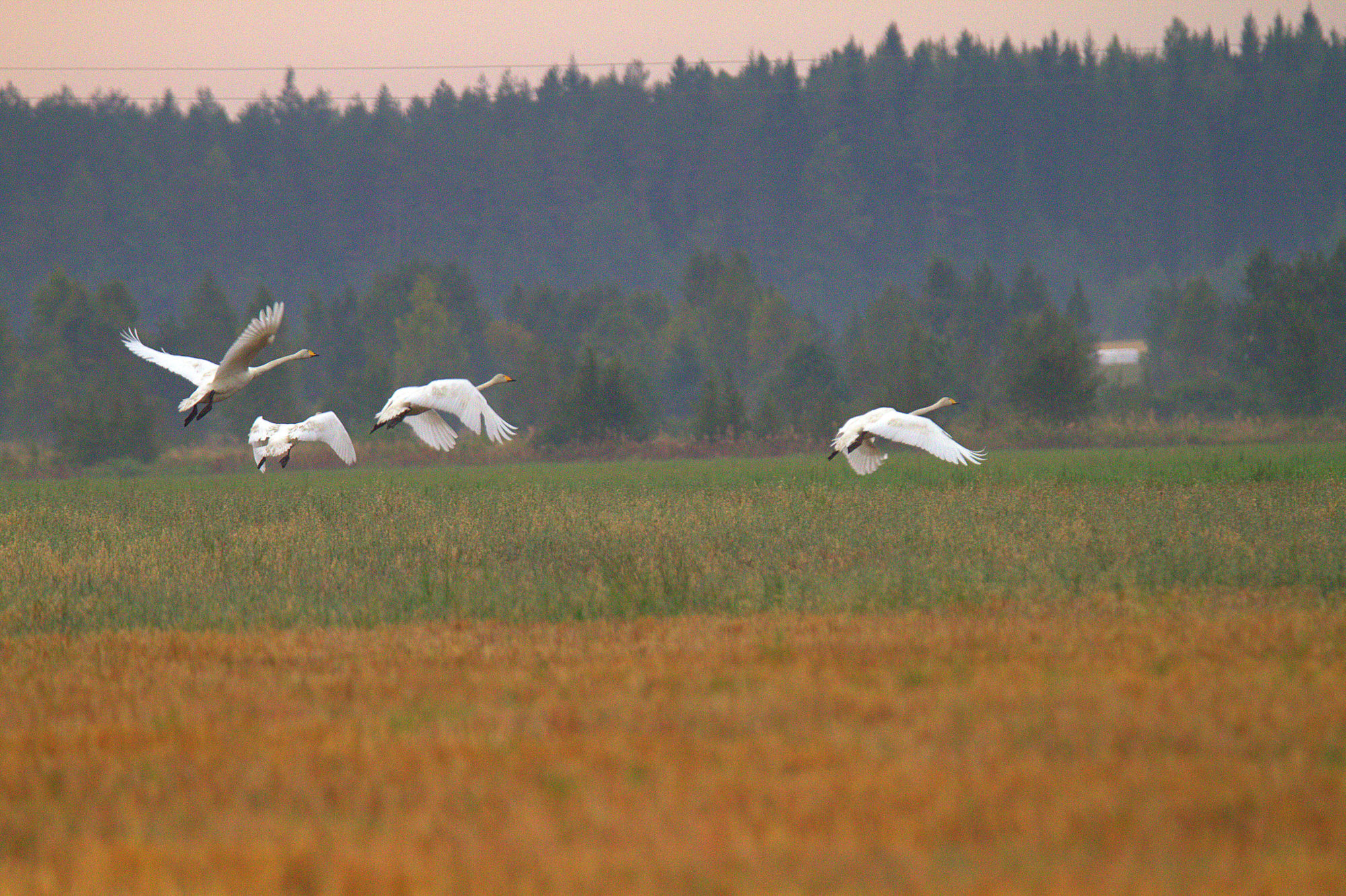 Valokuvaaja: sirpa Jyske