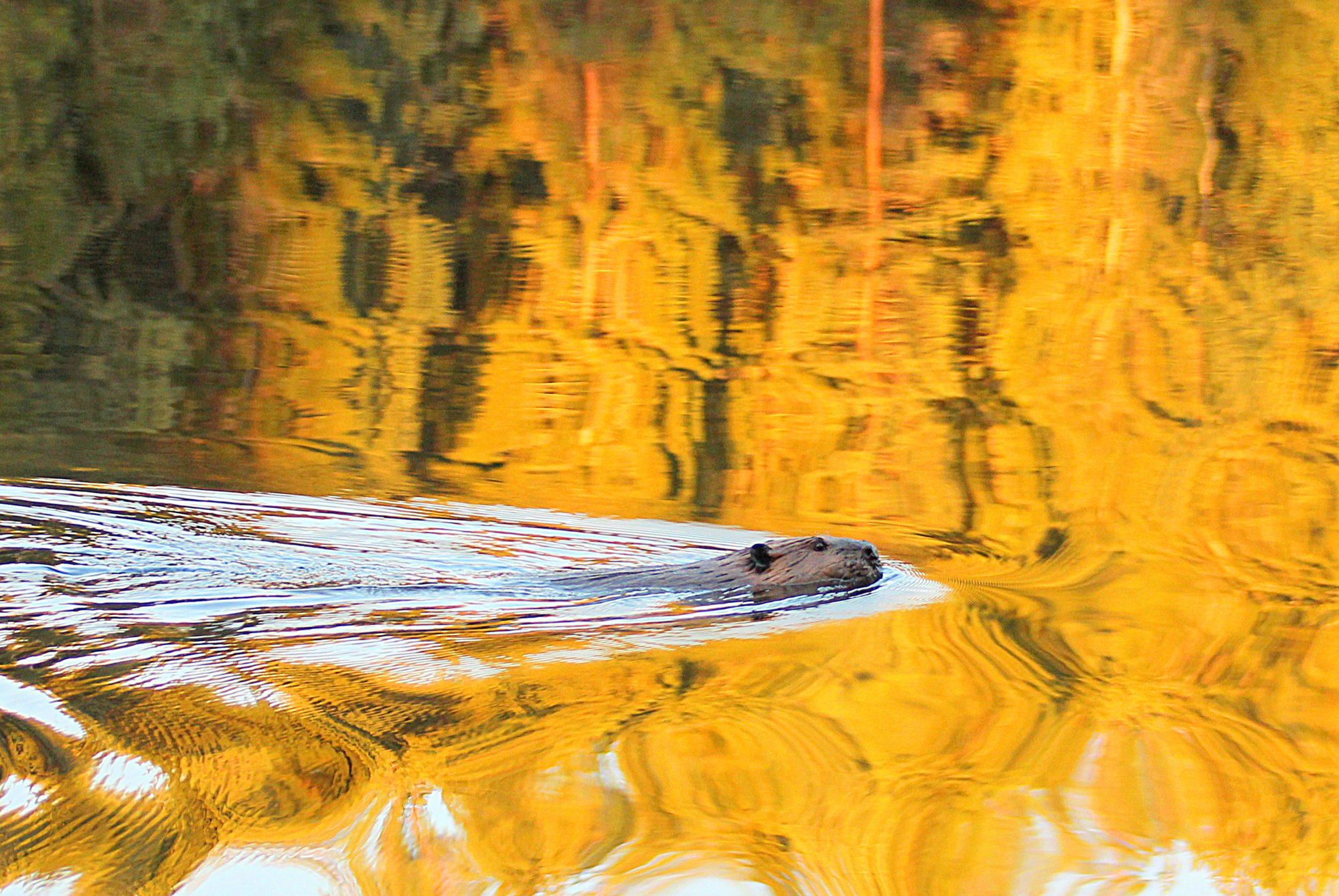 Valokuvaaja: sirpa Jyske Valokuvaaja: sirpa Jyske