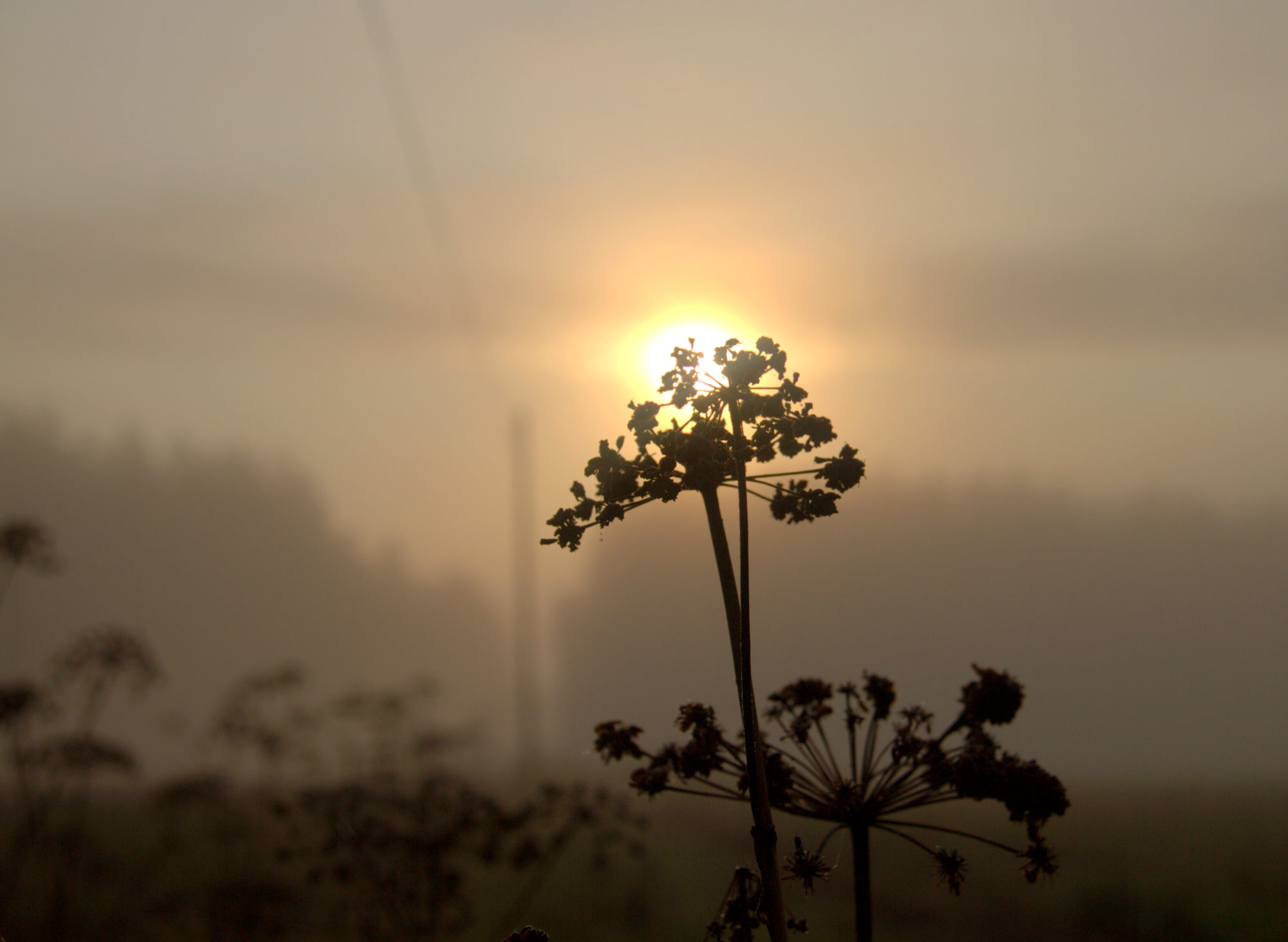 Valokuvaaja: sirpa Jyske Valokuvaaja: sirpa Jyske